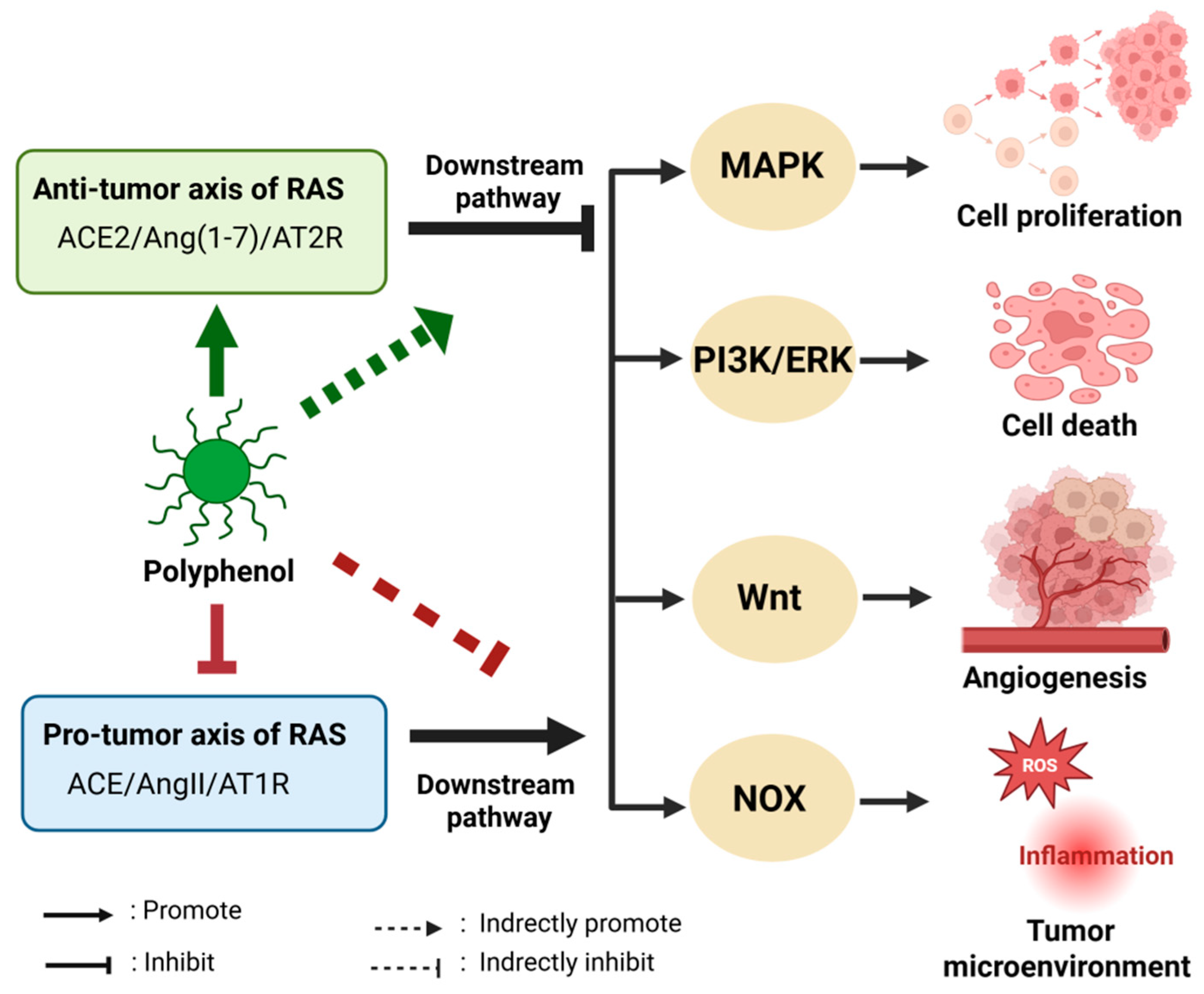 Biomolecules 15 01541 g003