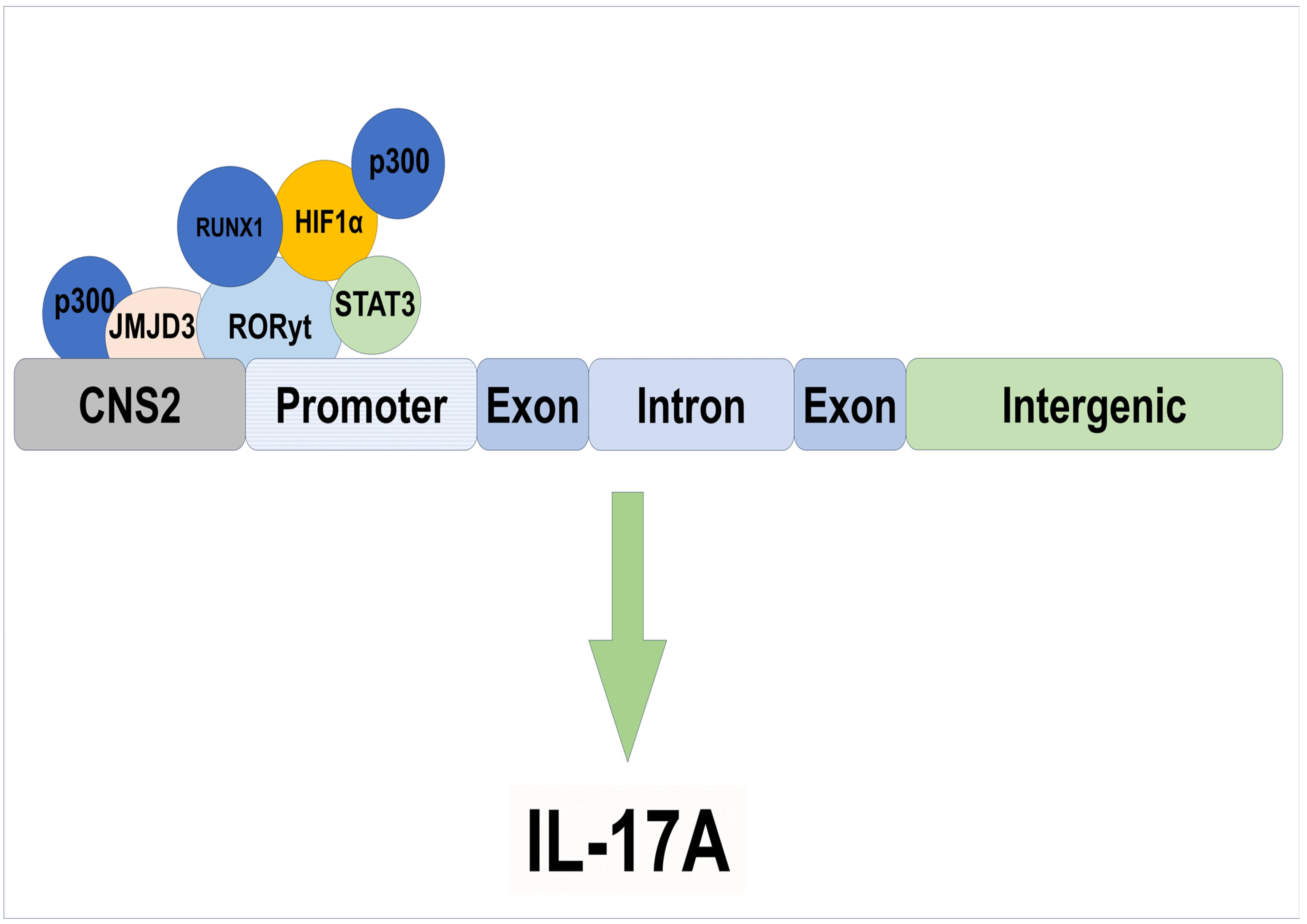 Biomolecules 15 01543 g002 Biomolecules 15 01543 g002
