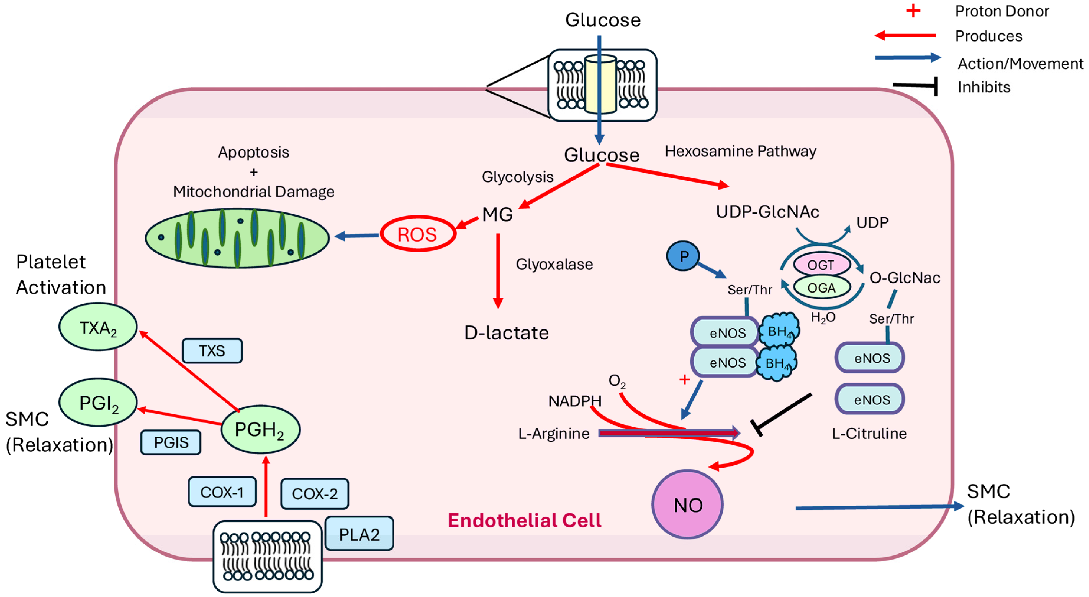 Biomolecules 15 01544 g002