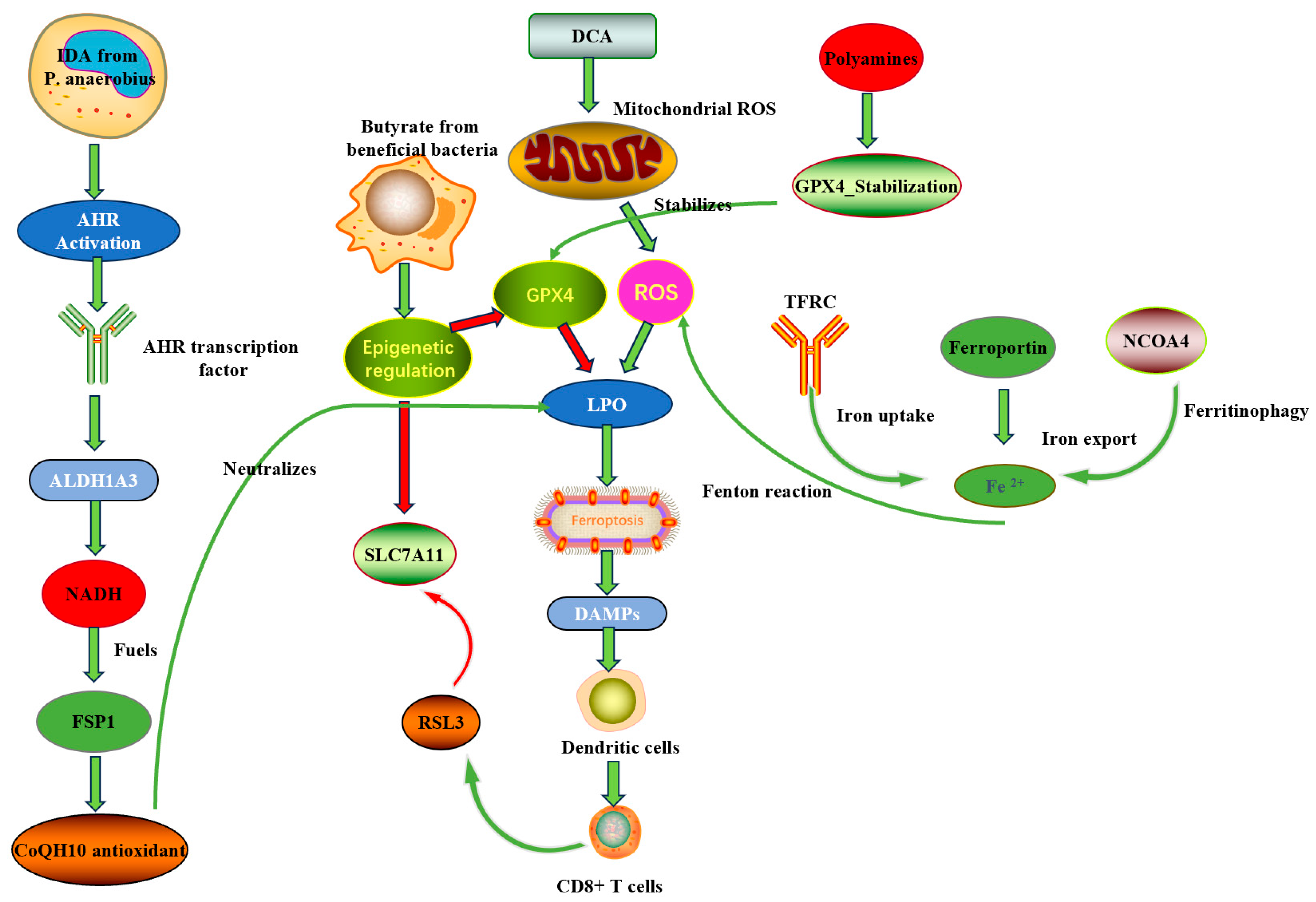 Biomolecules 15 01546 g001