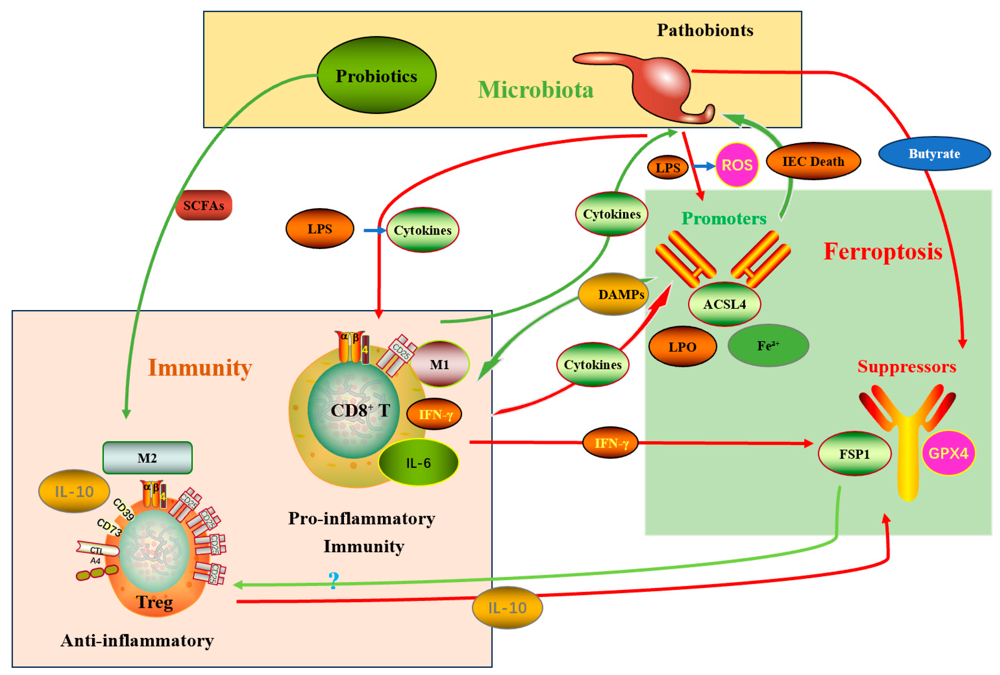 Biomolecules 15 01546 g002