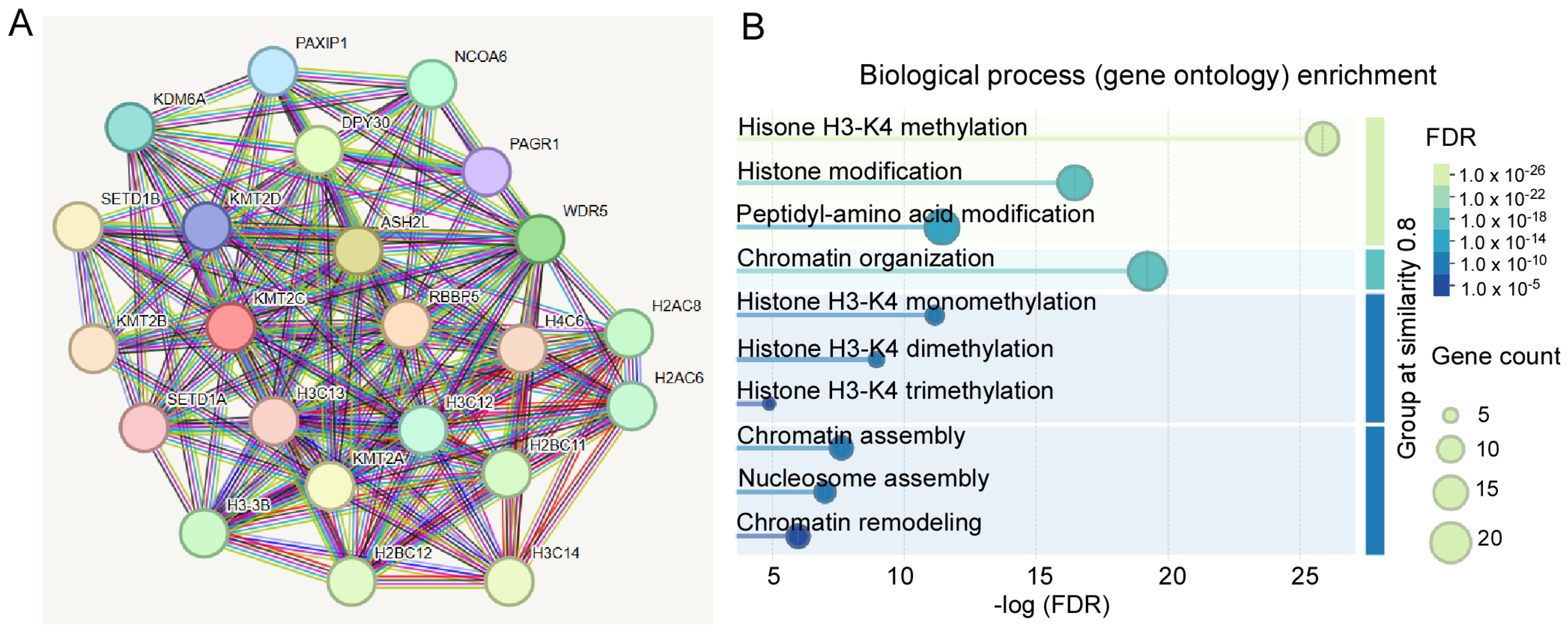 Biomolecules 15 01547 g003 Biomolecules 15 01547 g003