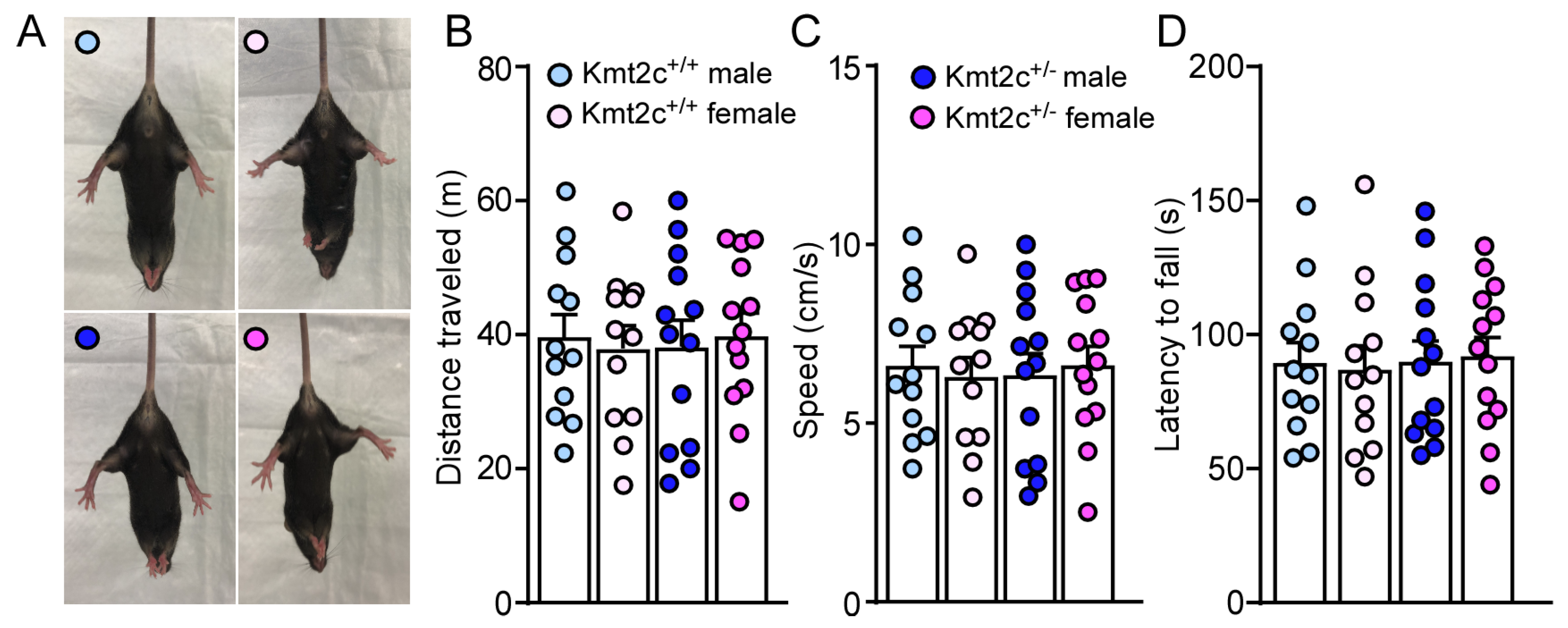 Biomolecules 15 01547 g004 Biomolecules 15 01547 g004