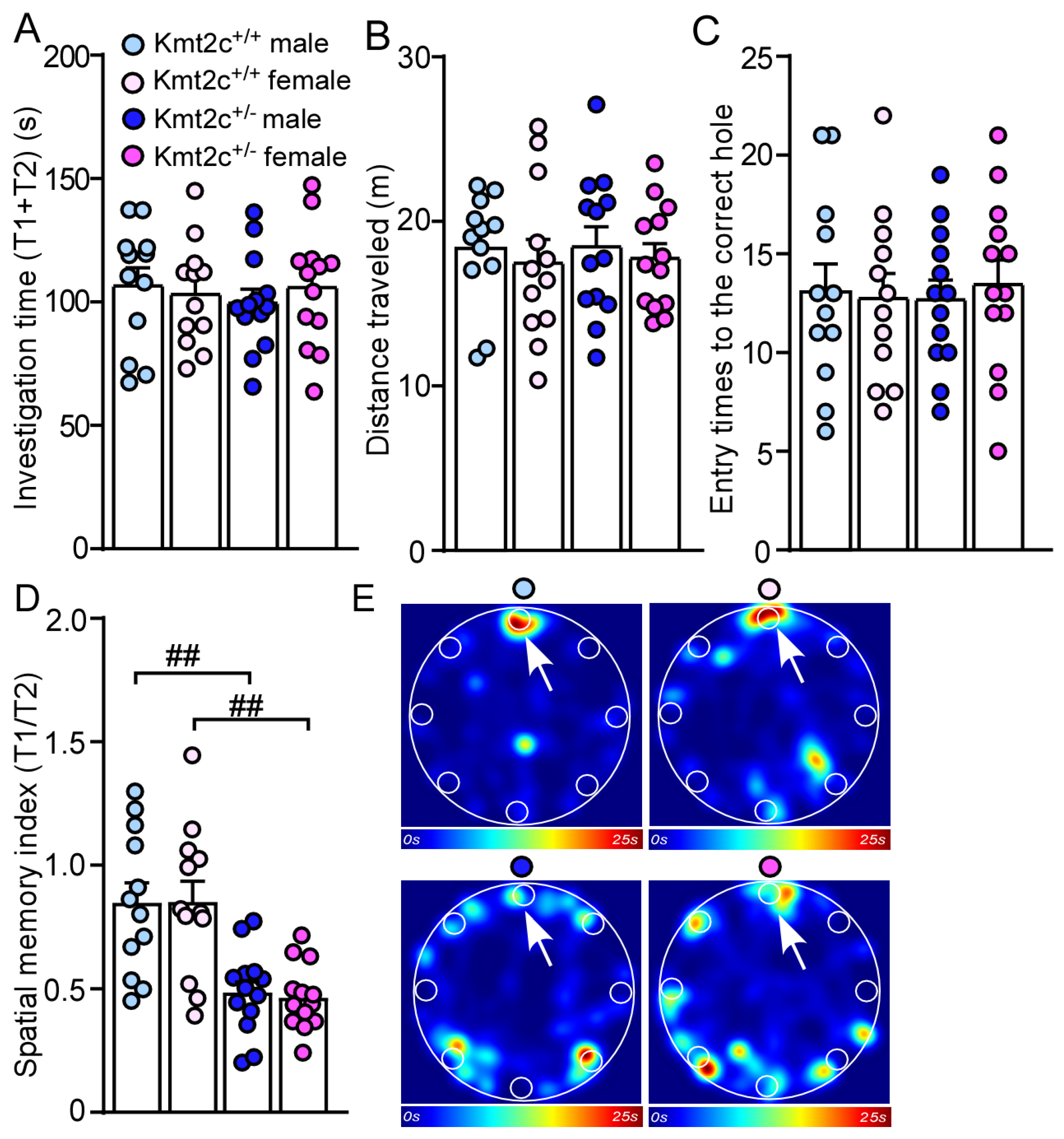 Biomolecules 15 01547 g008 Biomolecules 15 01547 g008