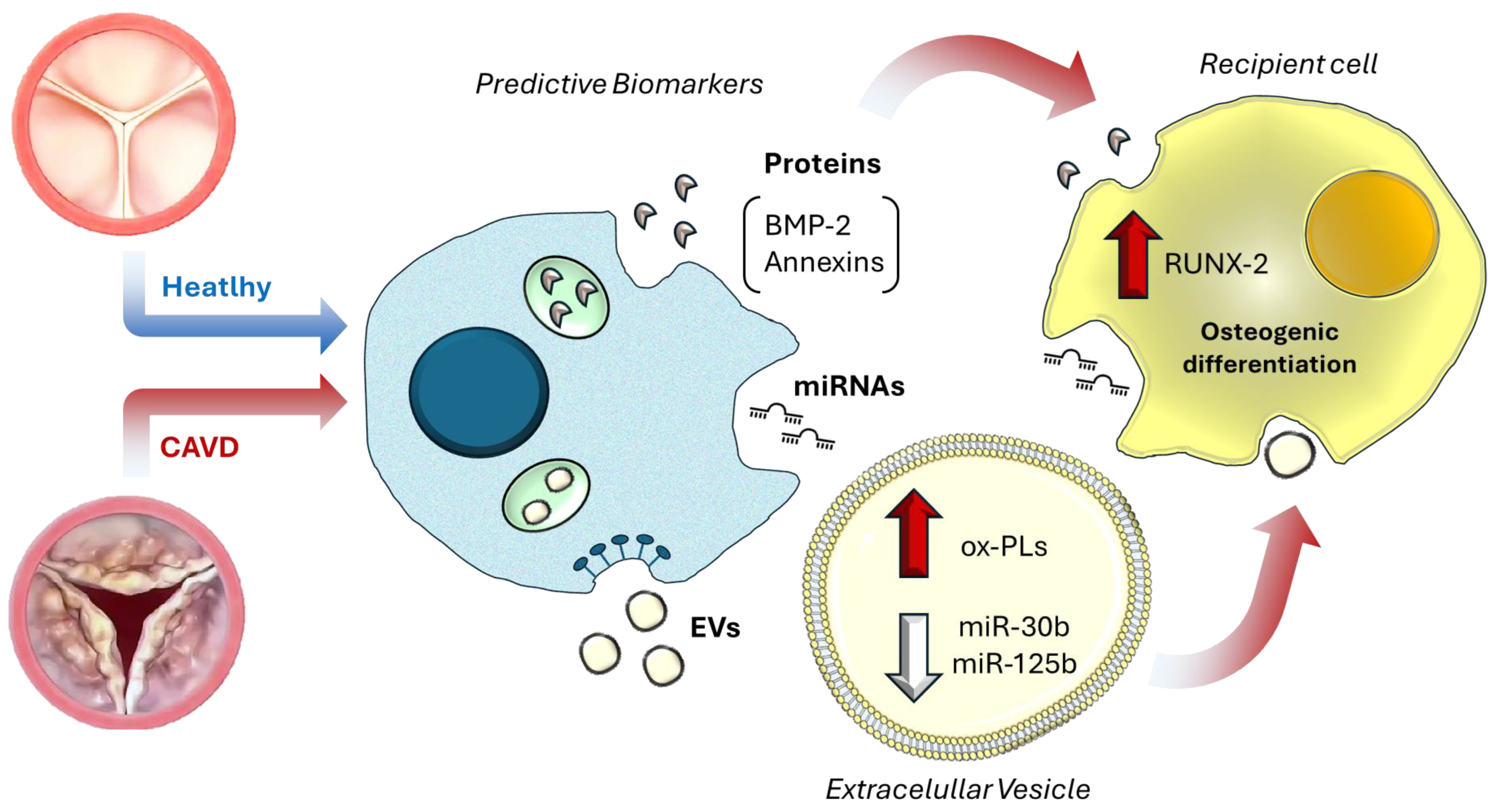 Biomolecules 15 01548 g001 Biomolecules 15 01548 g001
