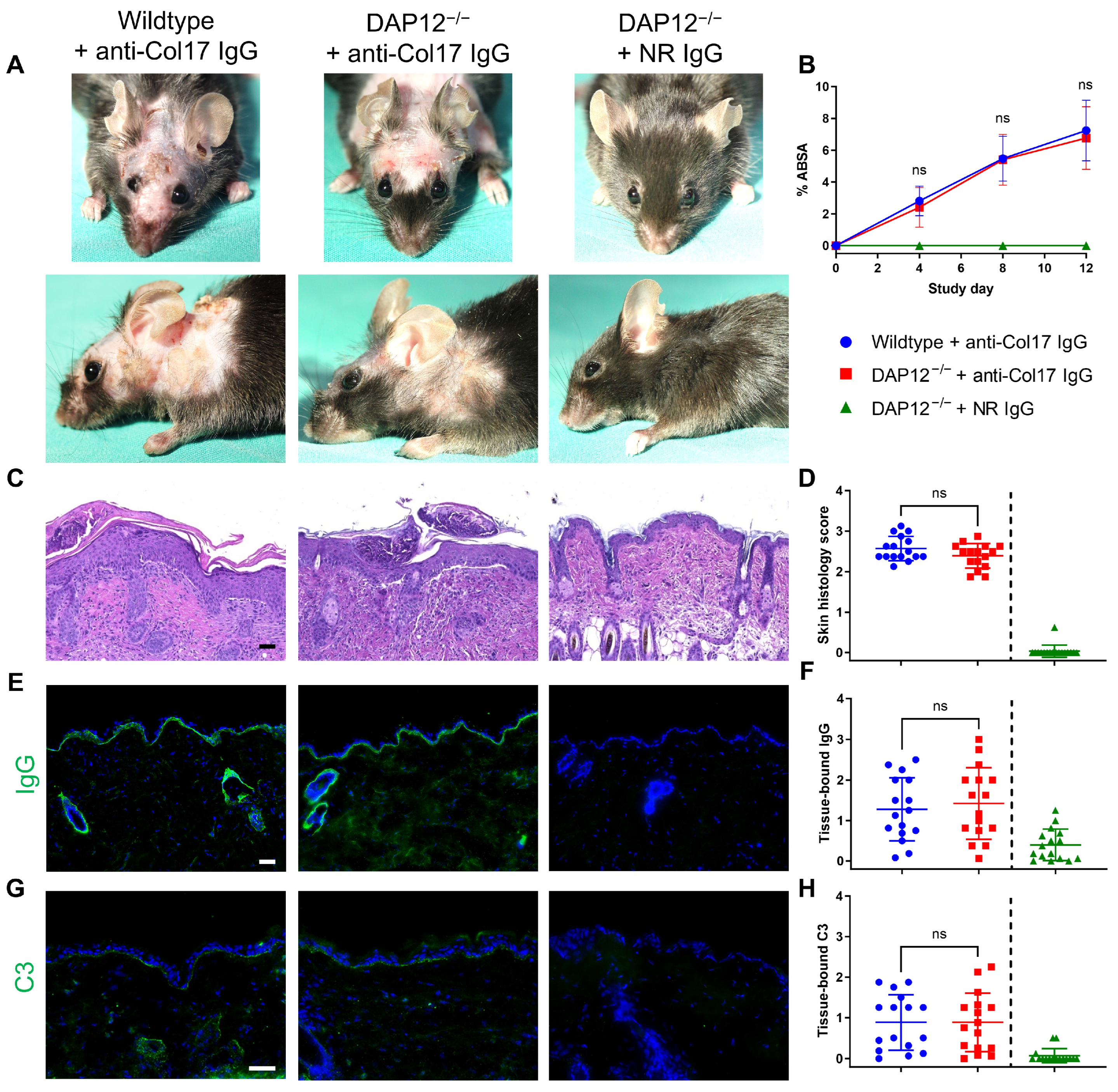 Biomolecules 15 01549 g001 Biomolecules 15 01549 g001