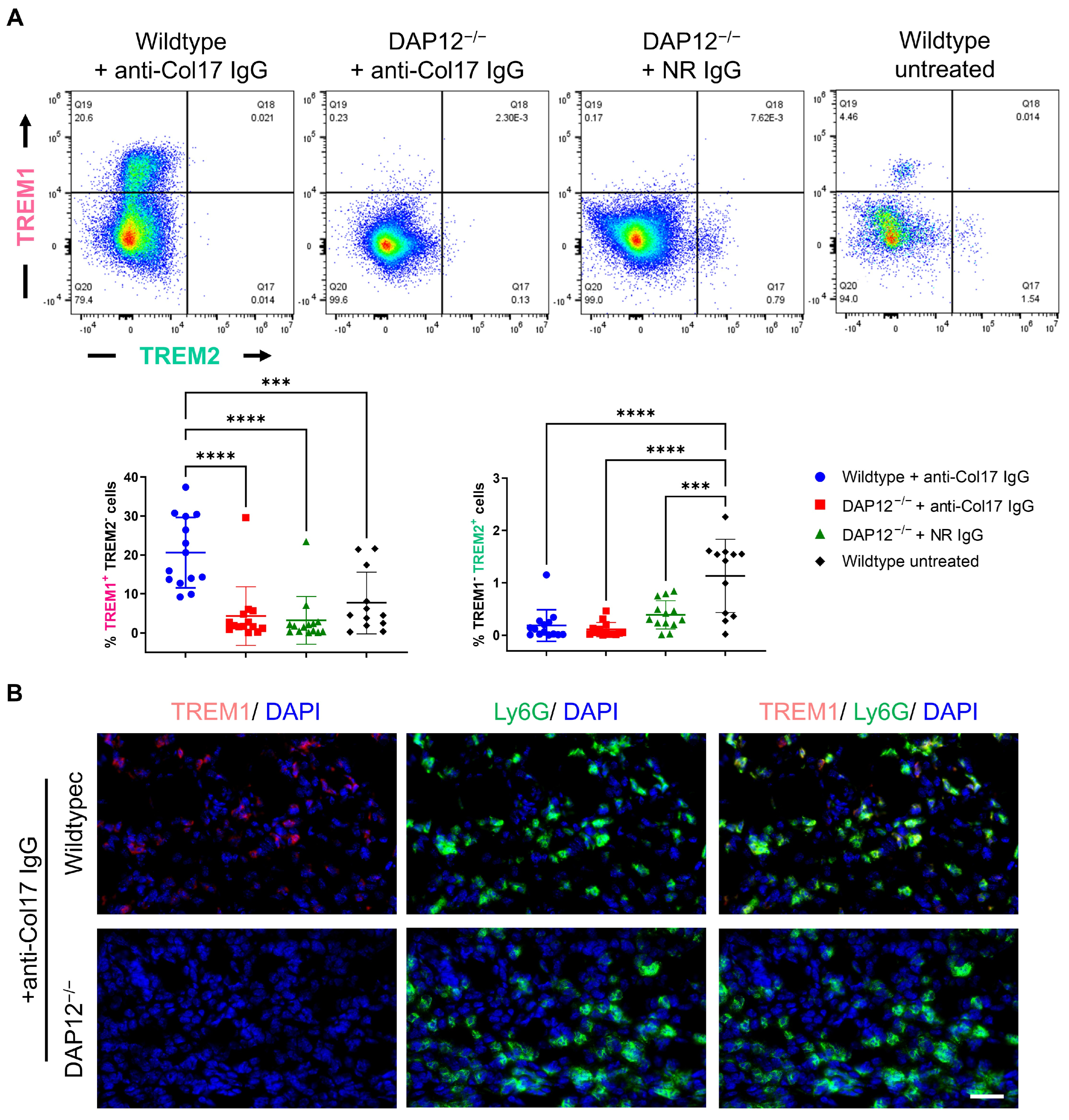Biomolecules 15 01549 g002 Biomolecules 15 01549 g002