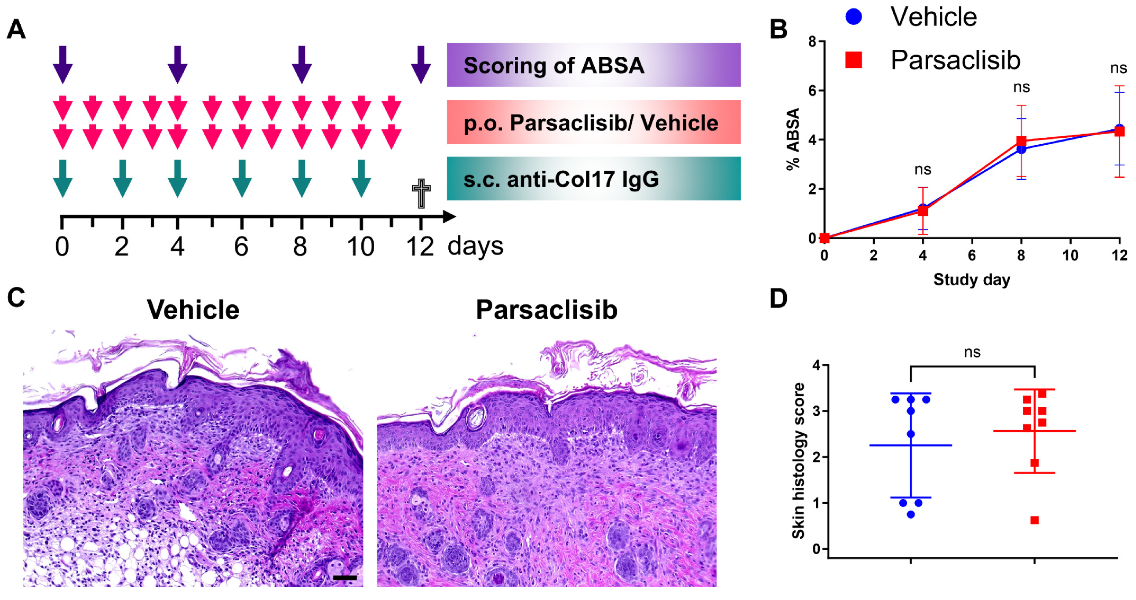 Biomolecules 15 01549 g004 Biomolecules 15 01549 g004