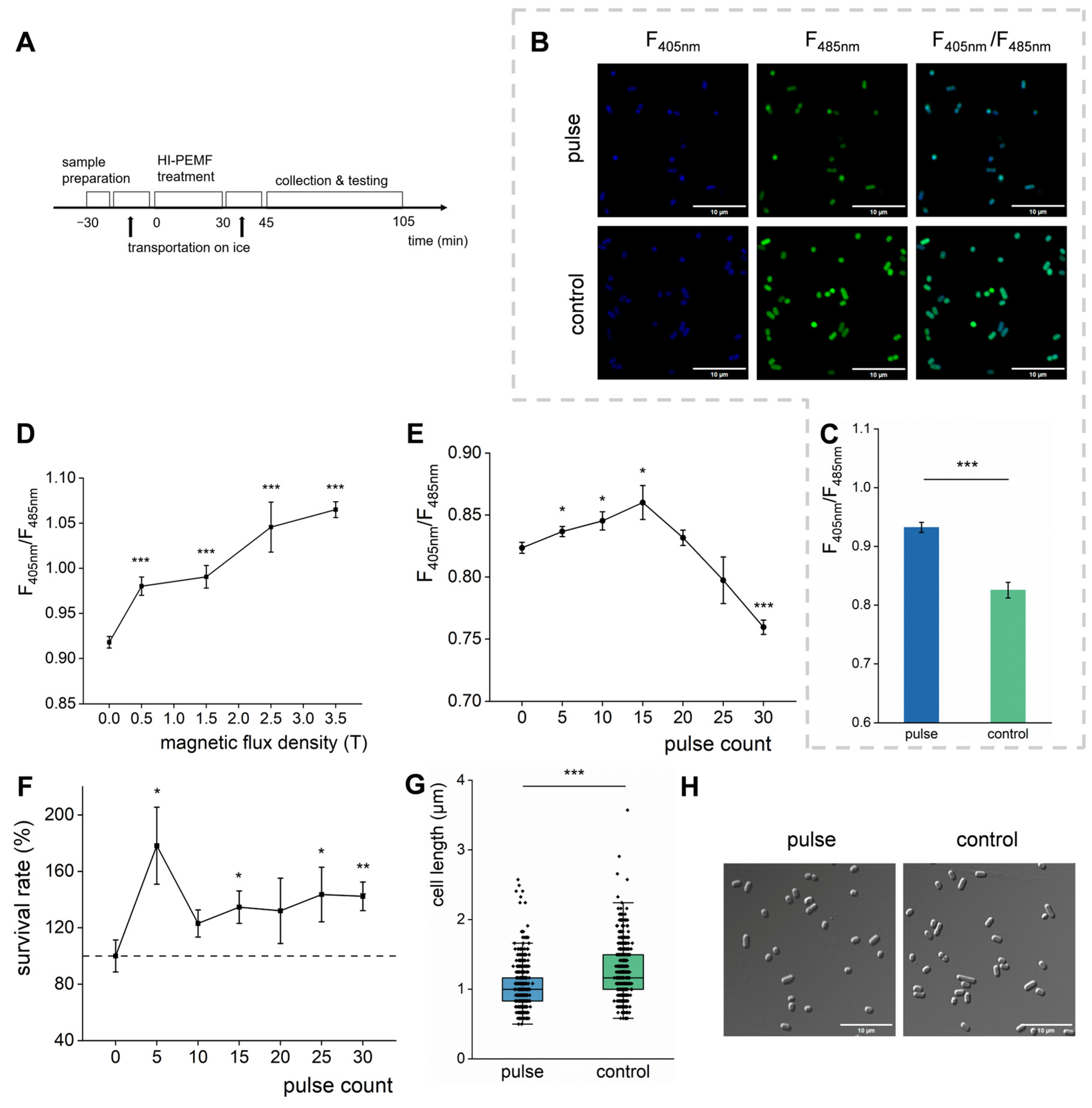 Biomolecules 15 01550 g001