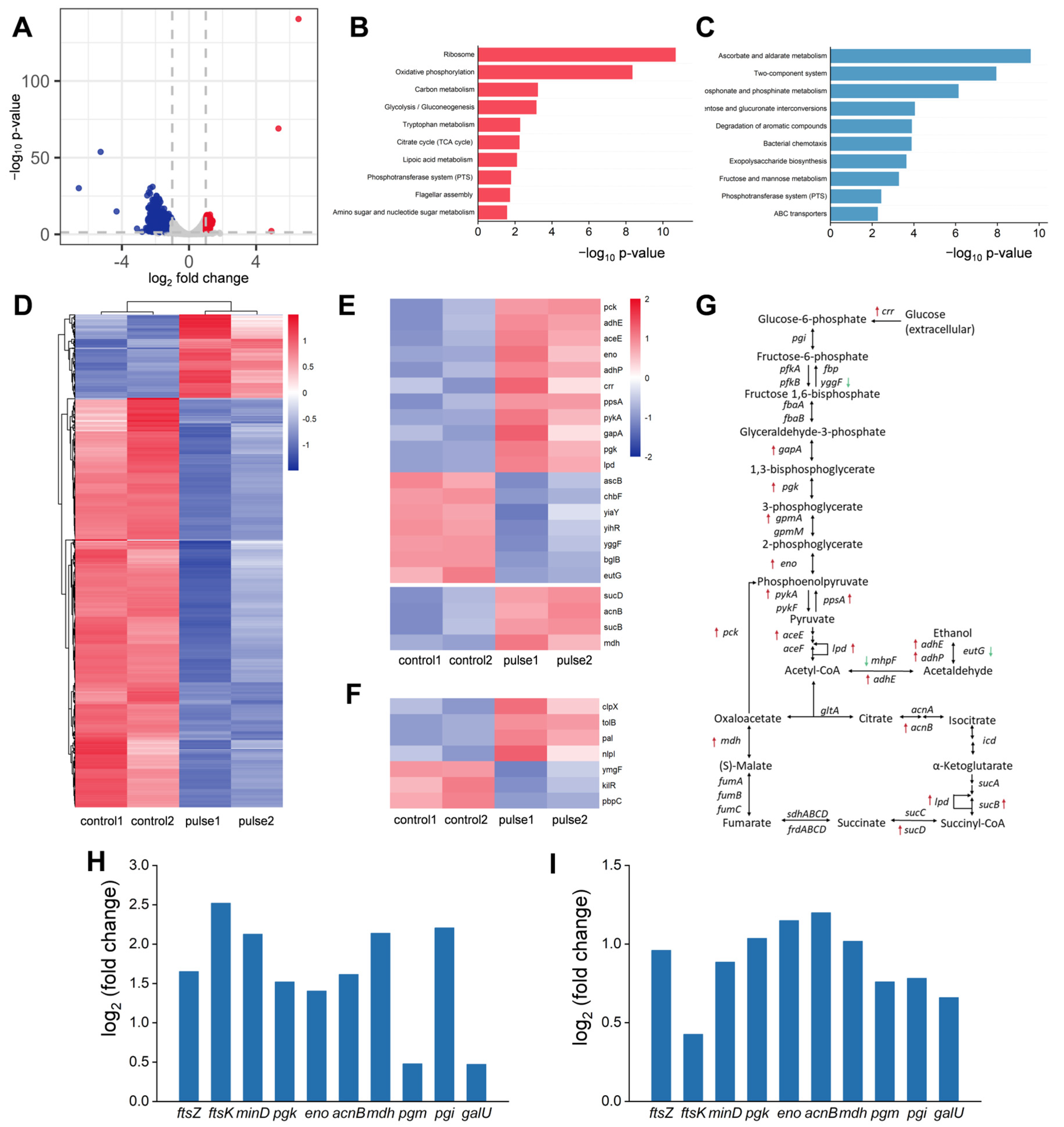 Biomolecules 15 01550 g002