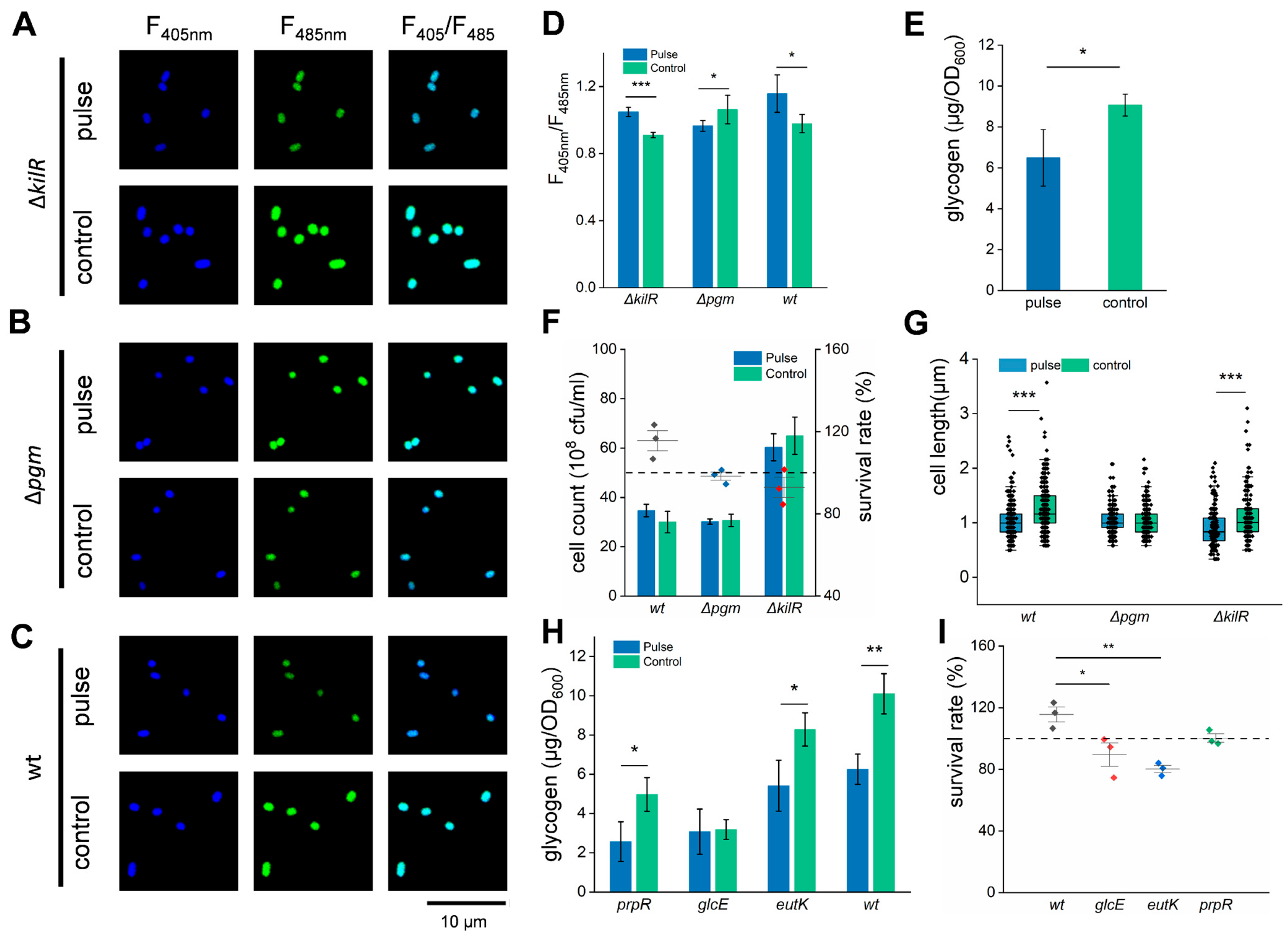 Biomolecules 15 01550 g003