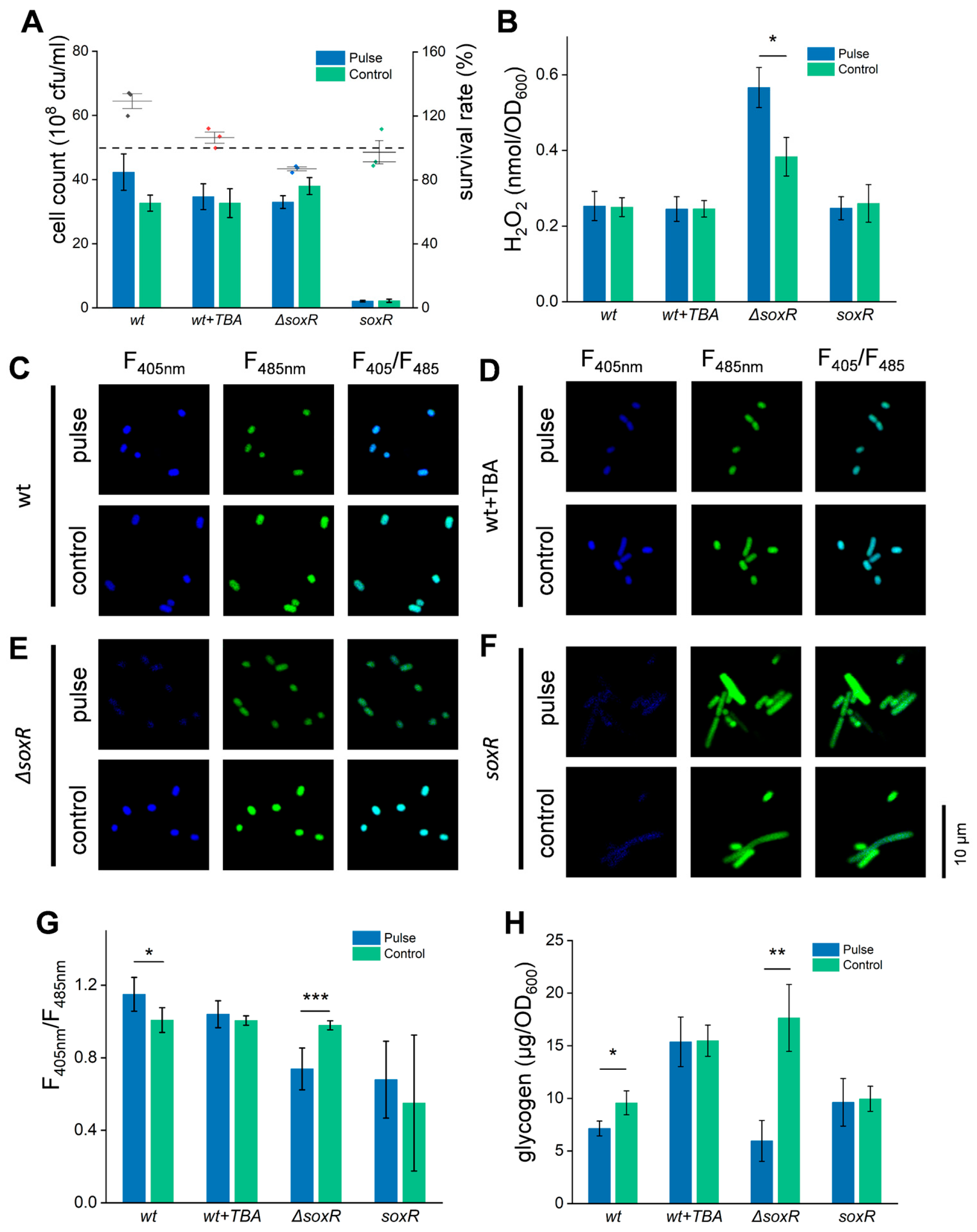 Biomolecules 15 01550 g005