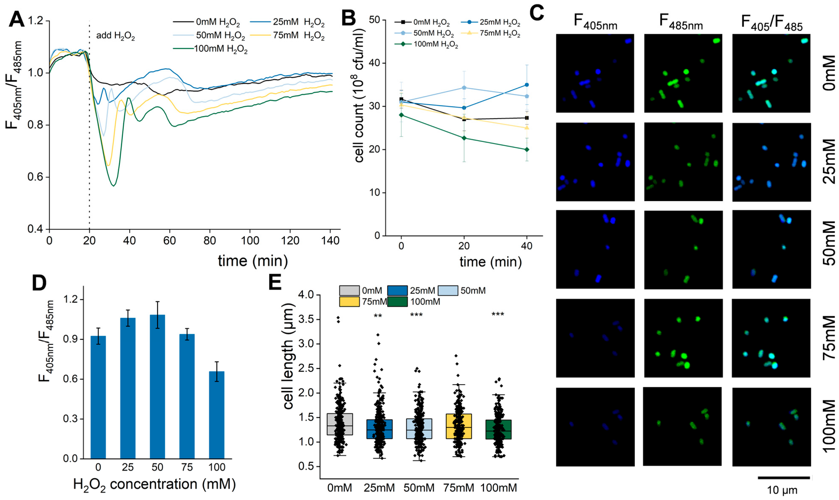 Biomolecules 15 01550 g006