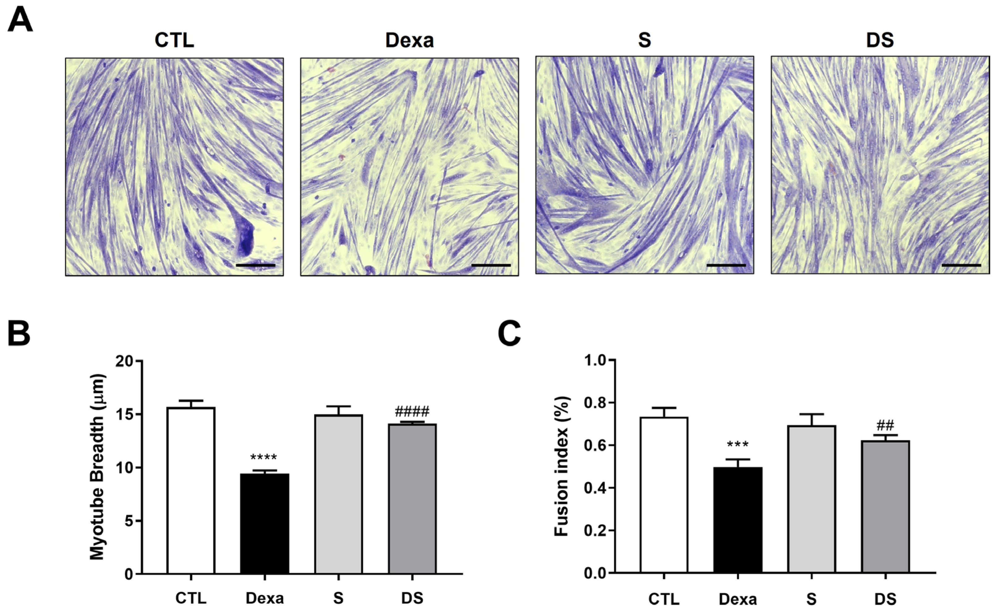 Biomolecules 15 01551 g002 Biomolecules 15 01551 g002