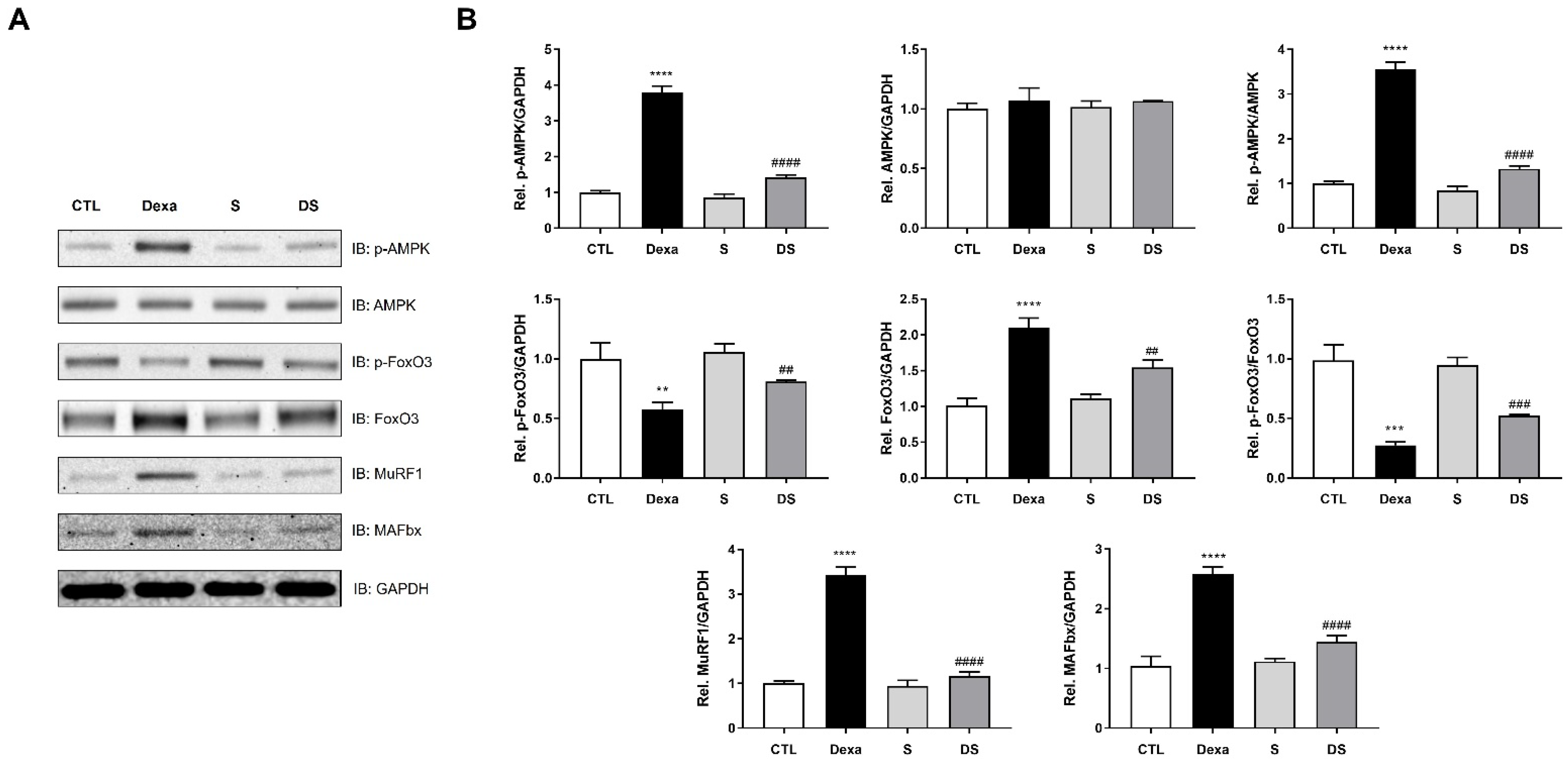 Biomolecules 15 01551 g003 Biomolecules 15 01551 g003