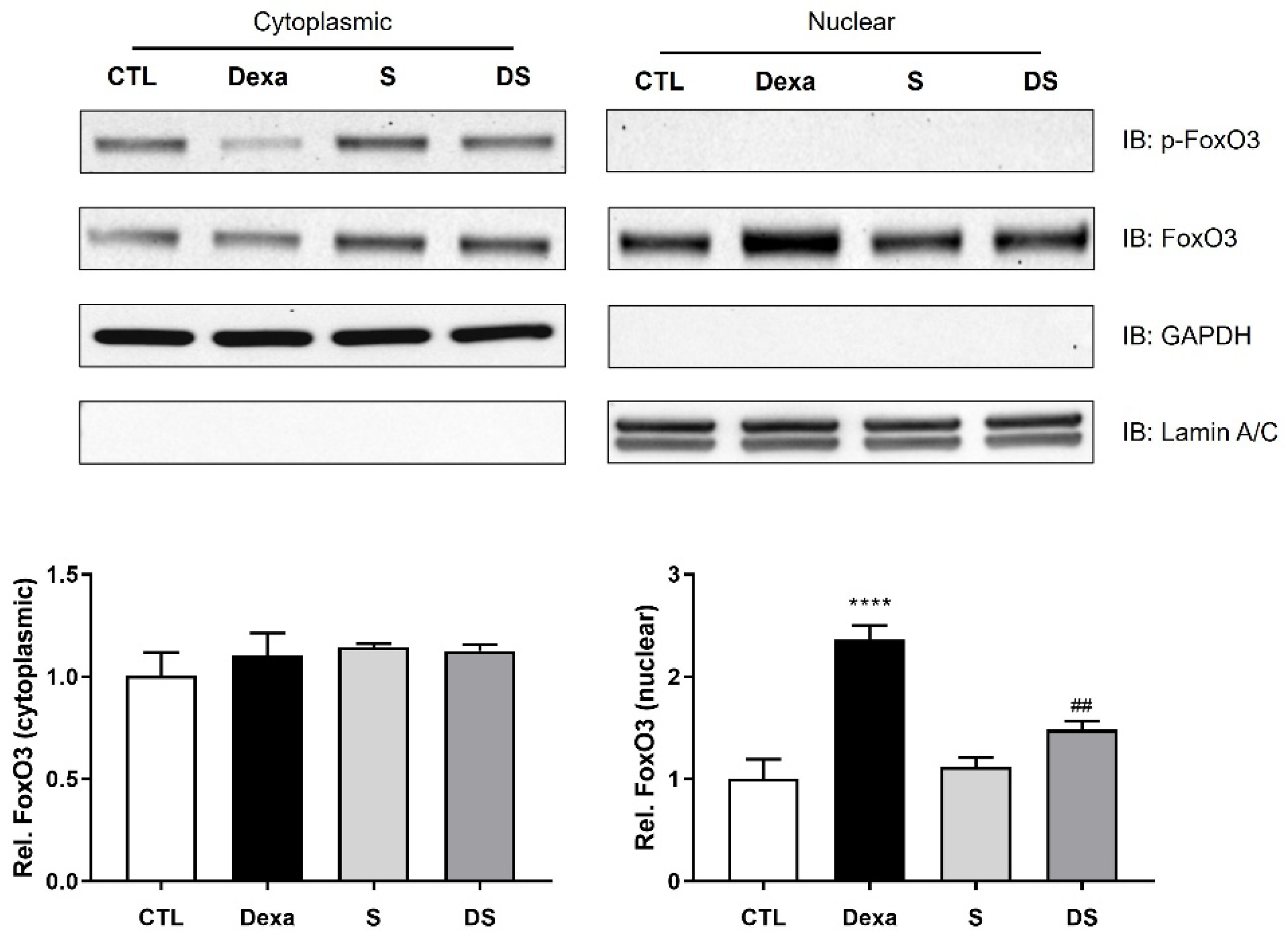 Biomolecules 15 01551 g004 Biomolecules 15 01551 g004