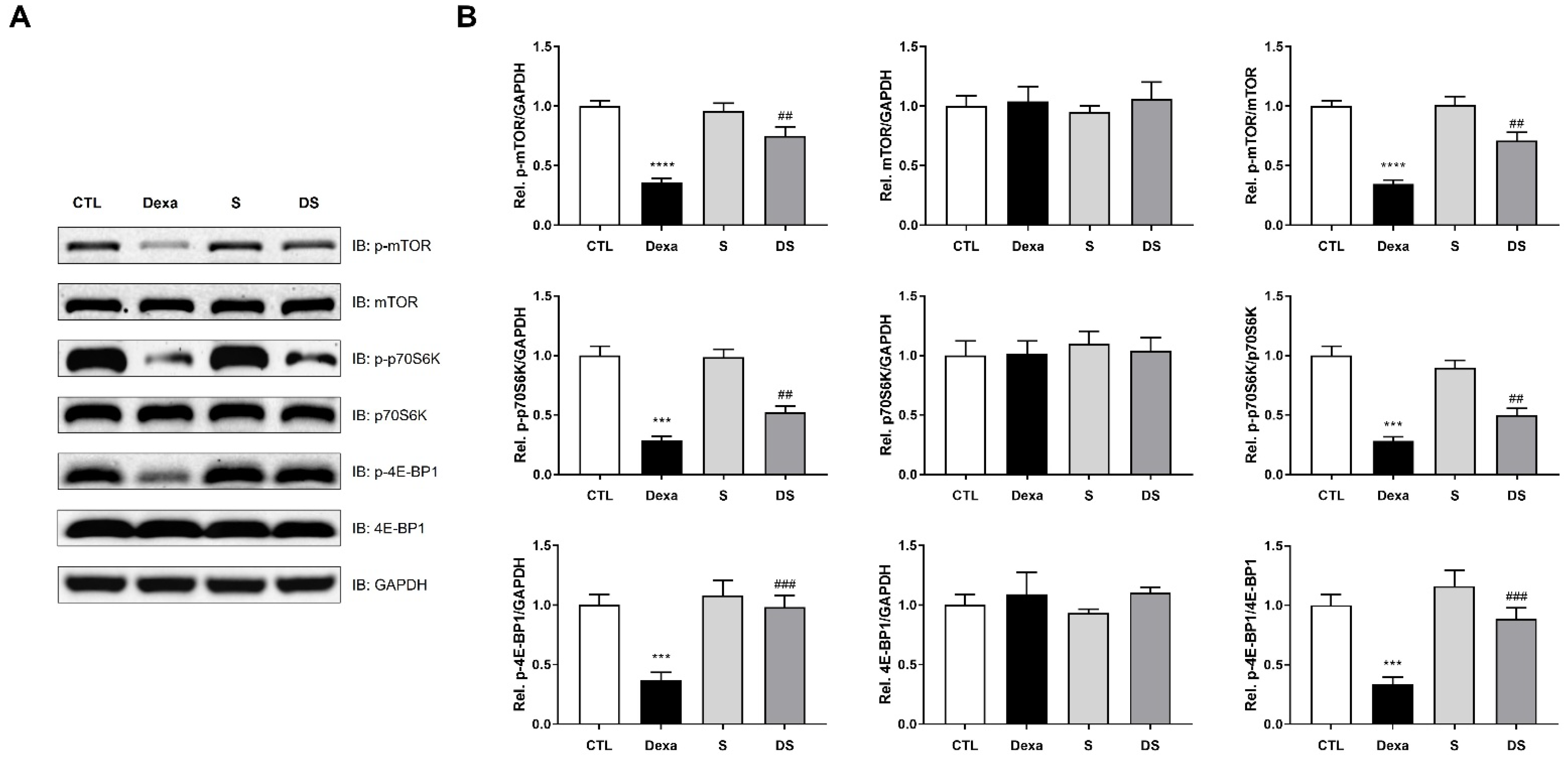 Biomolecules 15 01551 g005 Biomolecules 15 01551 g005
