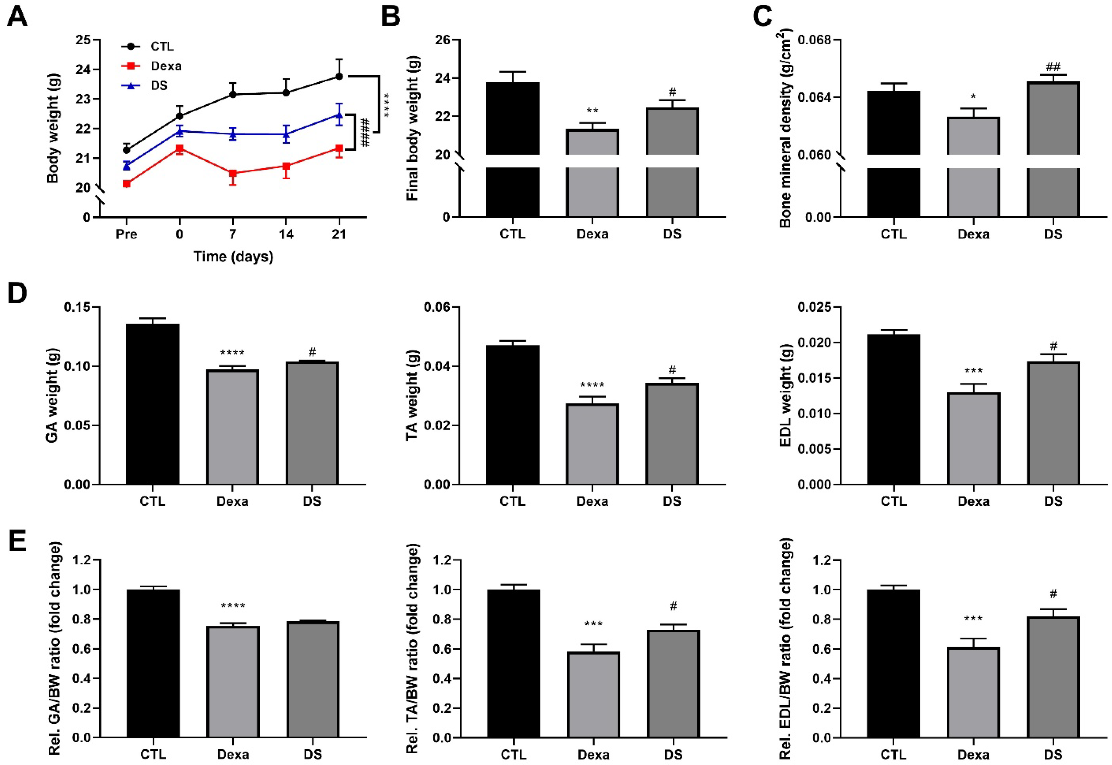 Biomolecules 15 01551 g006 Biomolecules 15 01551 g006