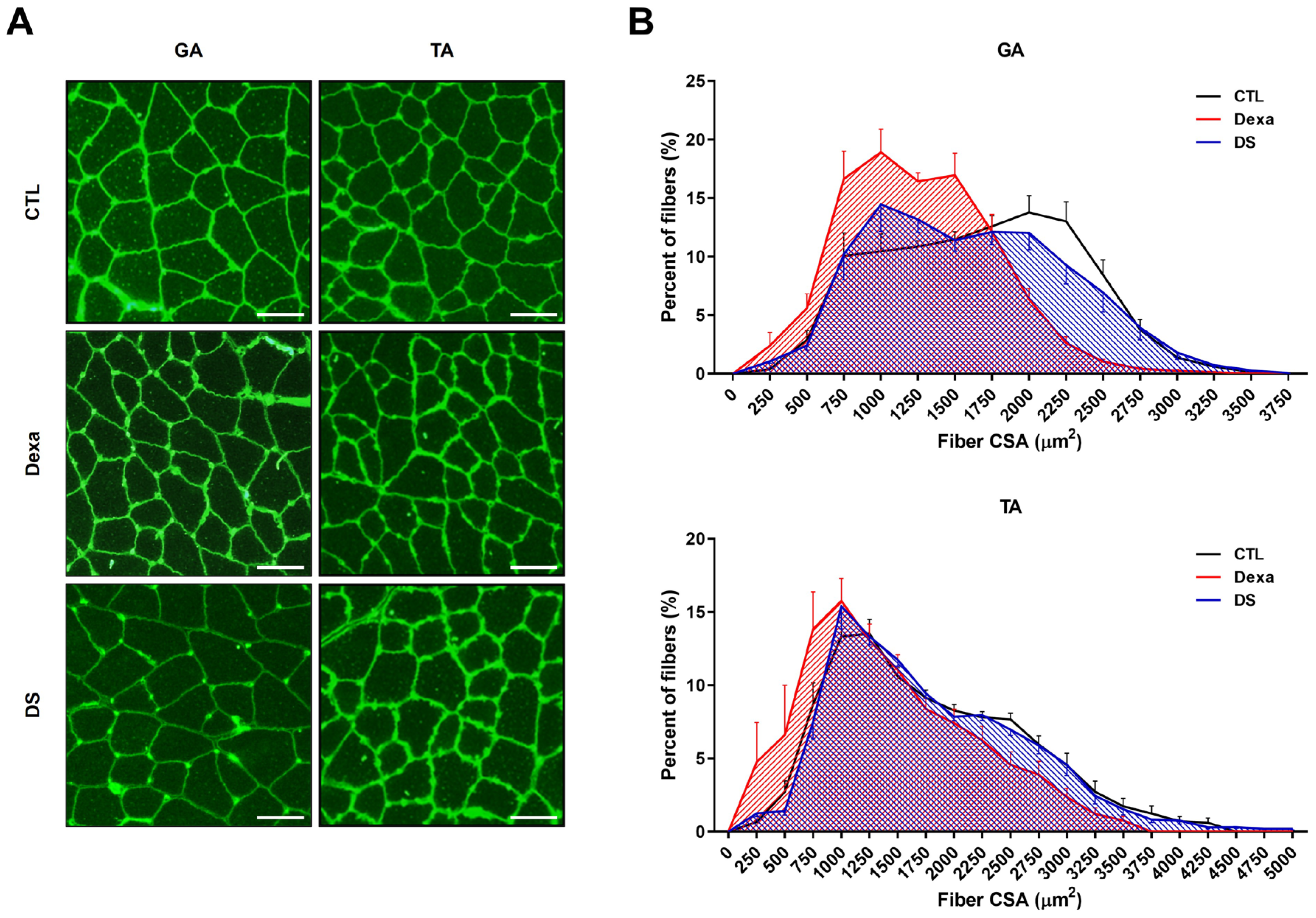 Biomolecules 15 01551 g007 Biomolecules 15 01551 g007