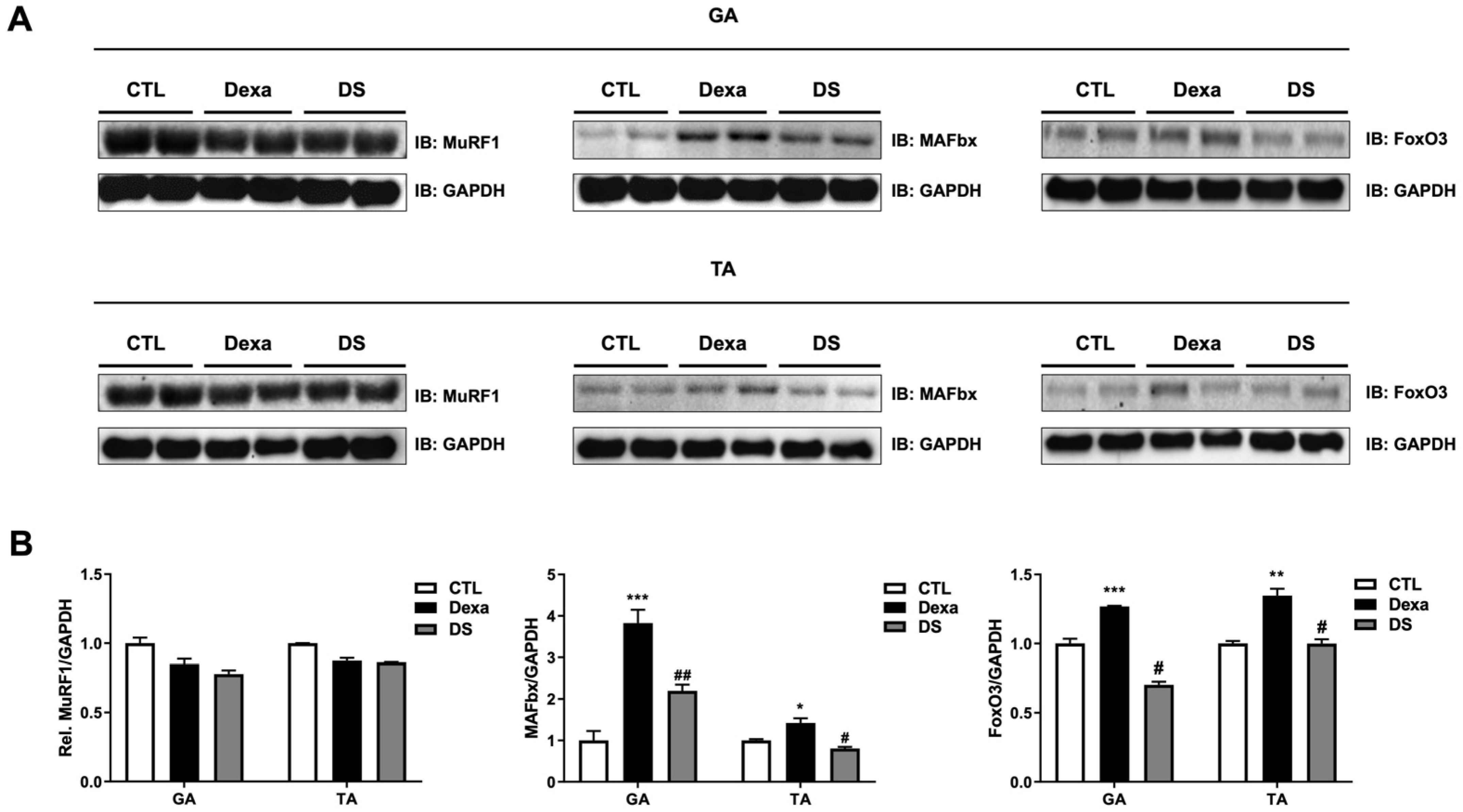 Biomolecules 15 01551 g008 Biomolecules 15 01551 g008