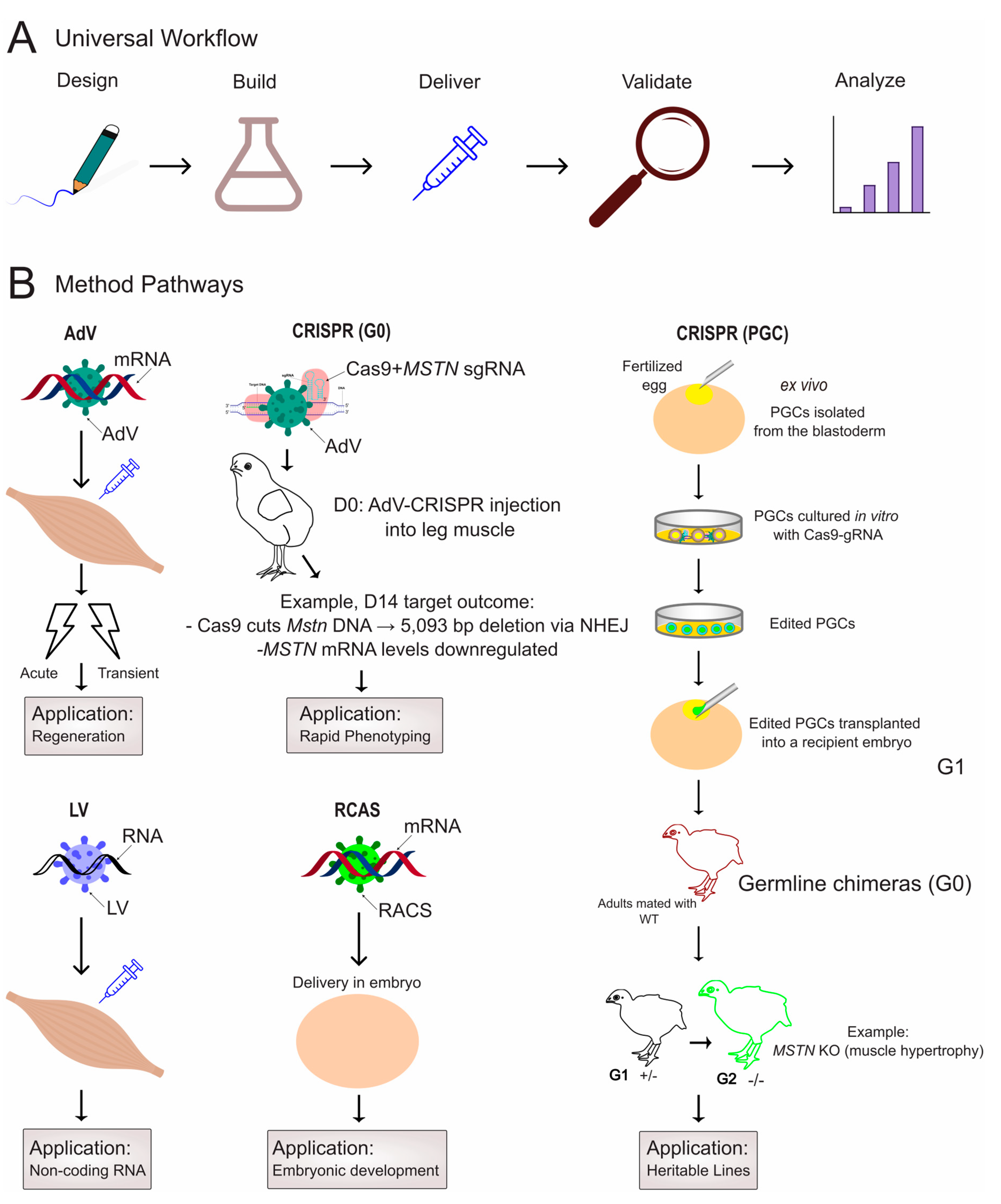 Biomolecules 15 01554 g002 Biomolecules 15 01554 g002