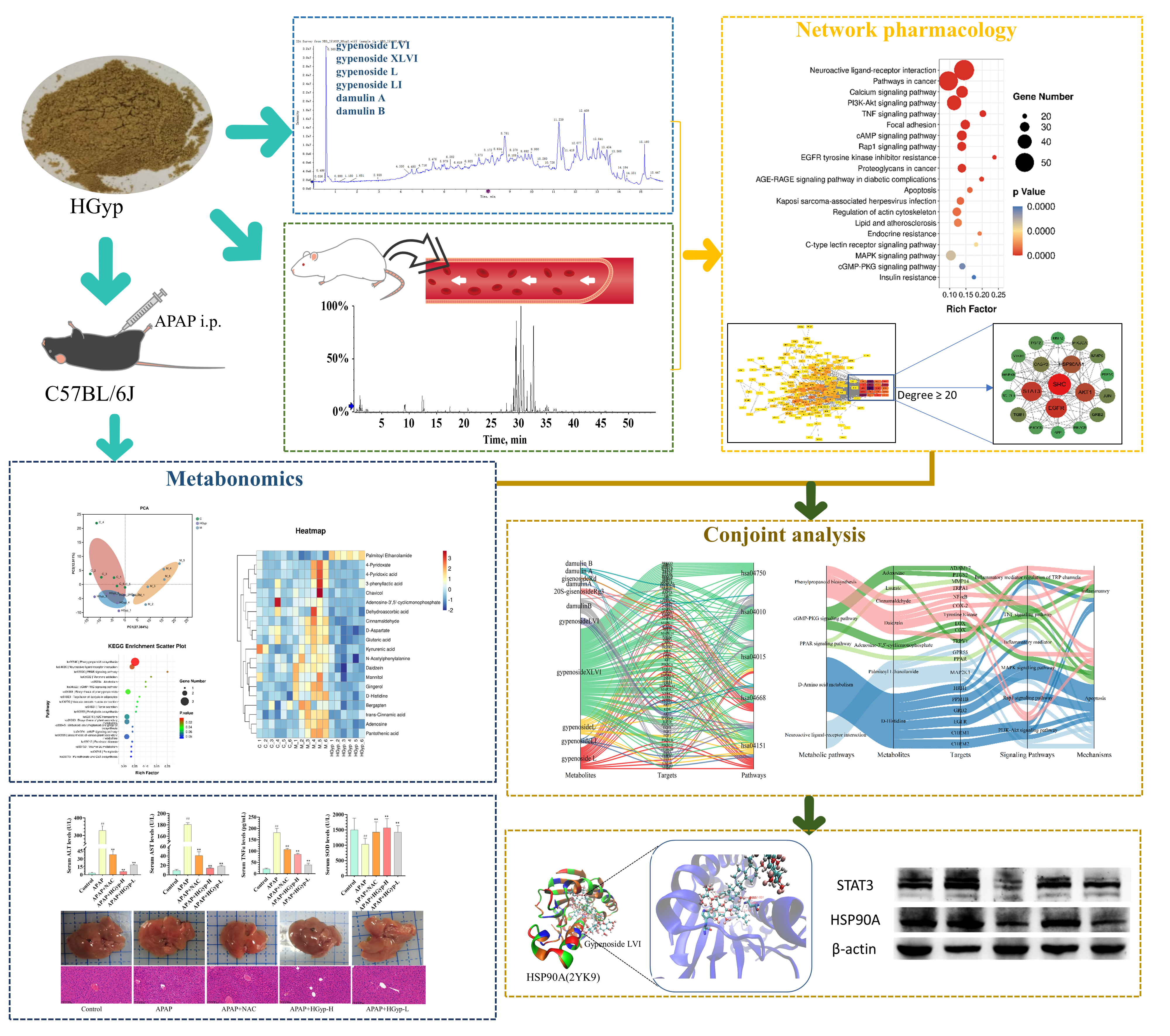 Biomolecules 15 01555 g001