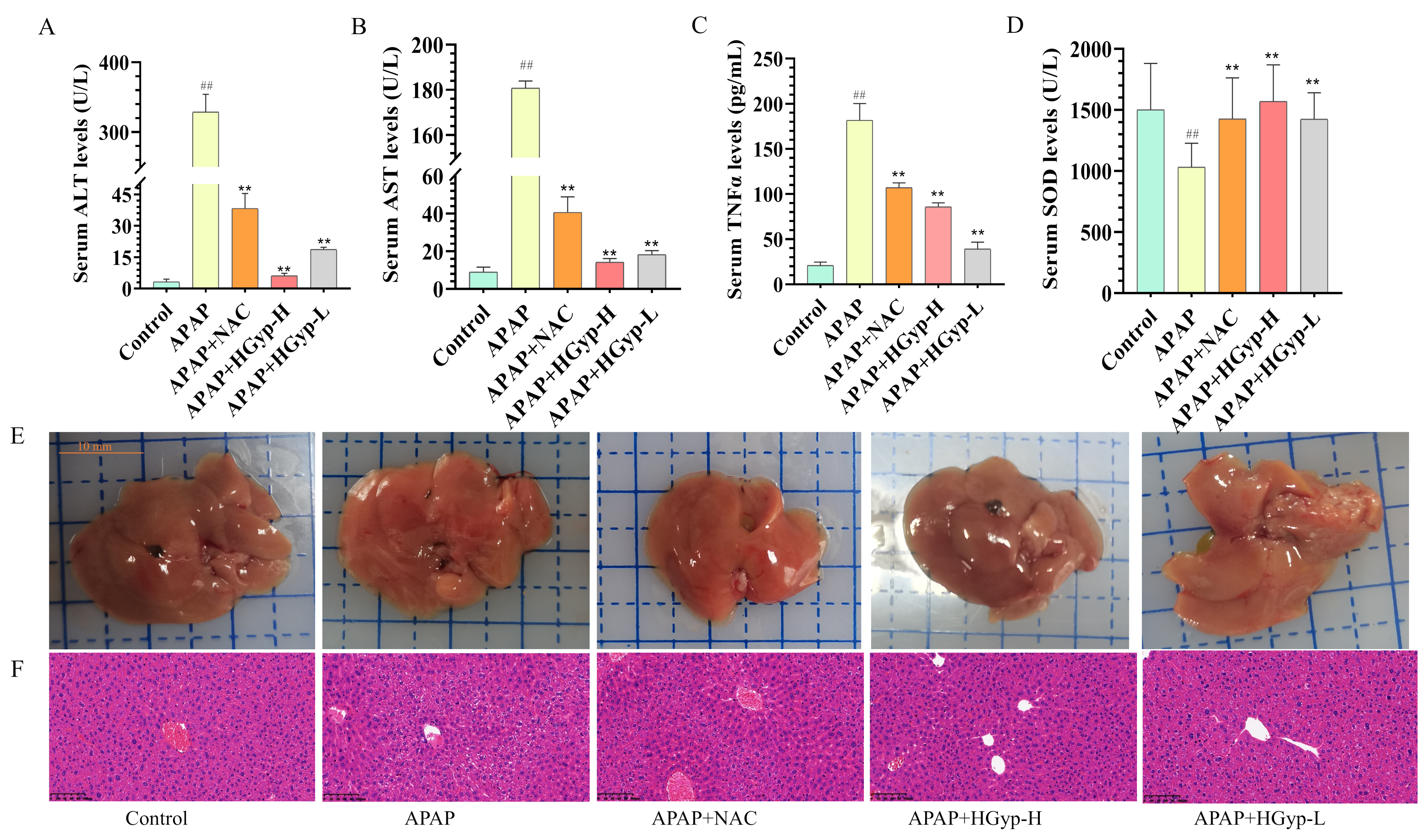 Biomolecules 15 01555 g004