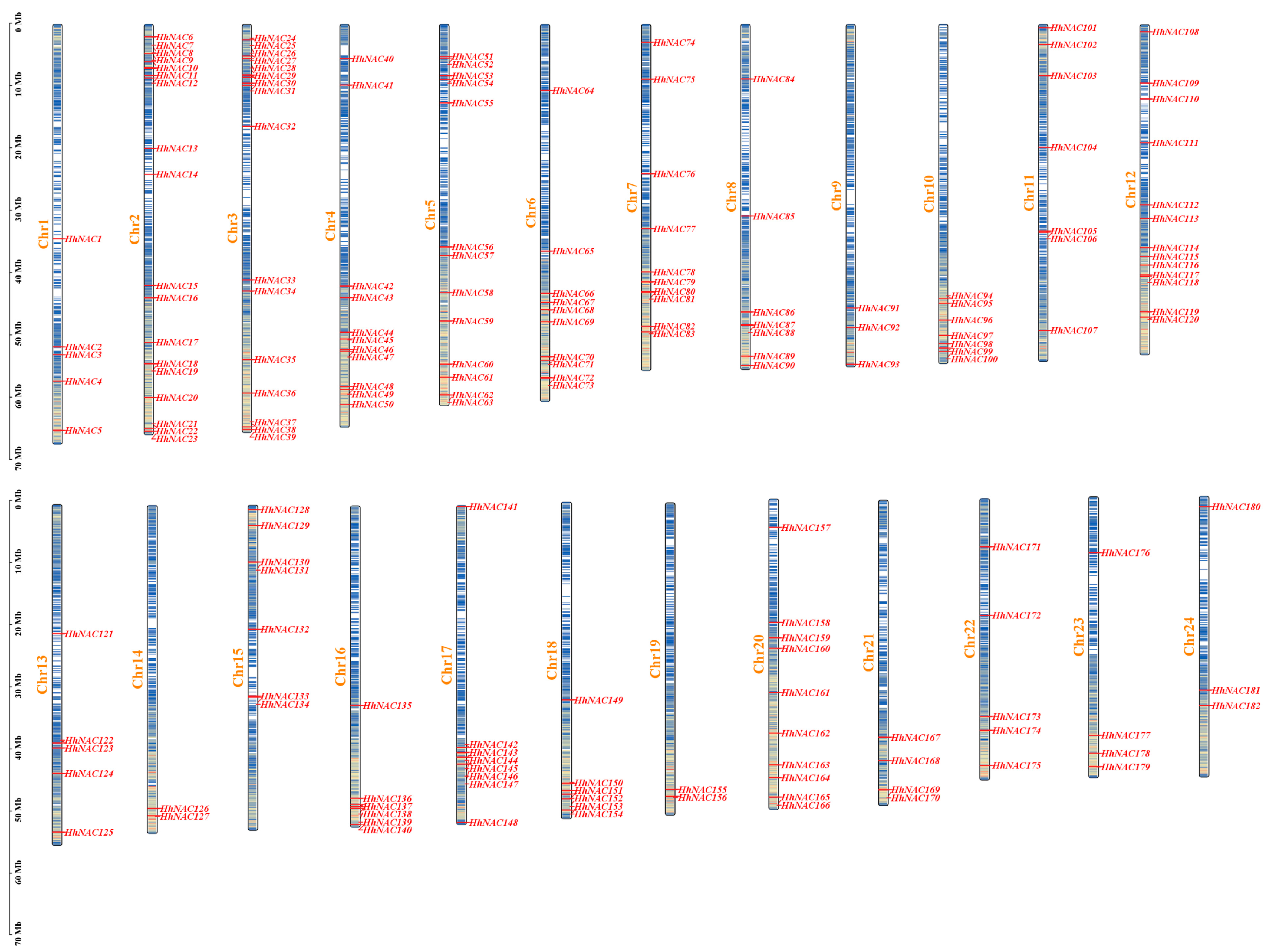 Biomolecules 15 01557 g004 Biomolecules 15 01557 g004