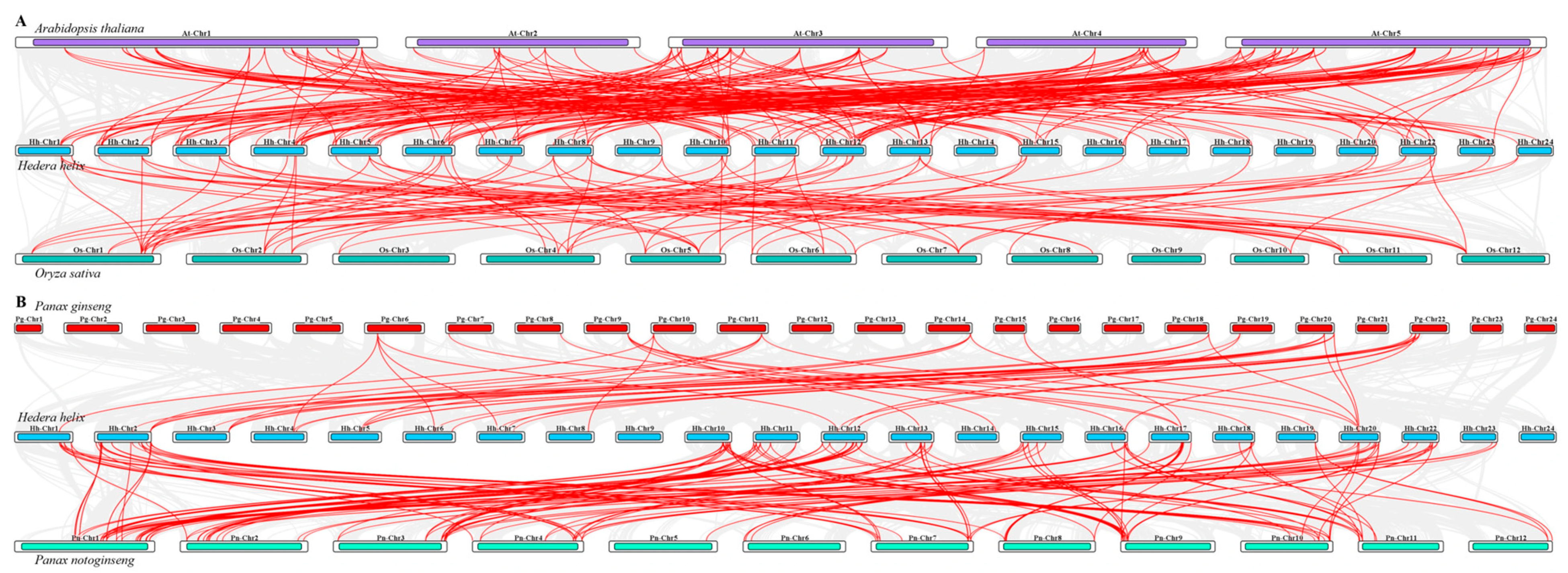 Biomolecules 15 01557 g006 Biomolecules 15 01557 g006