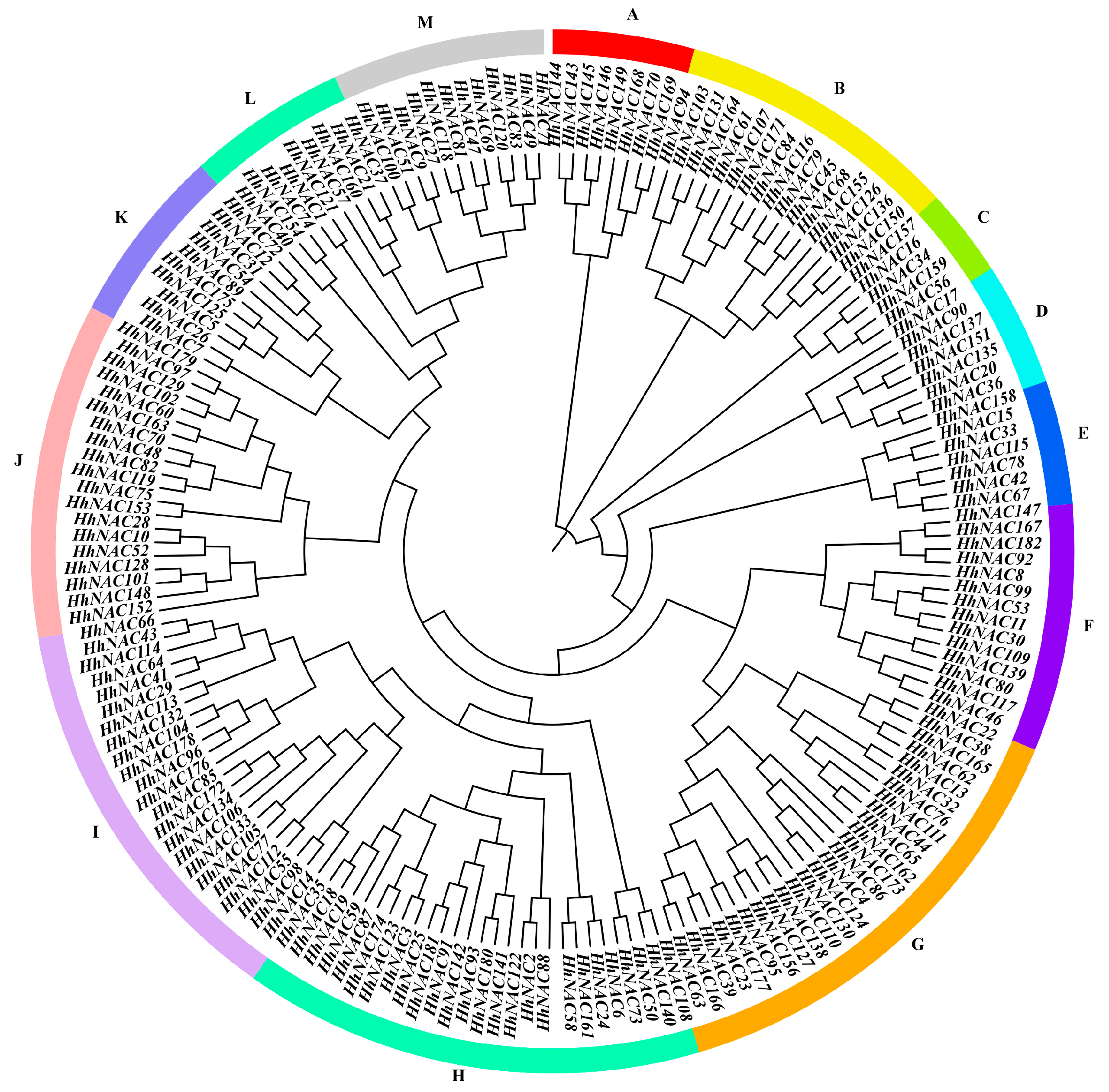 Biomolecules 15 01557 g007 Biomolecules 15 01557 g007