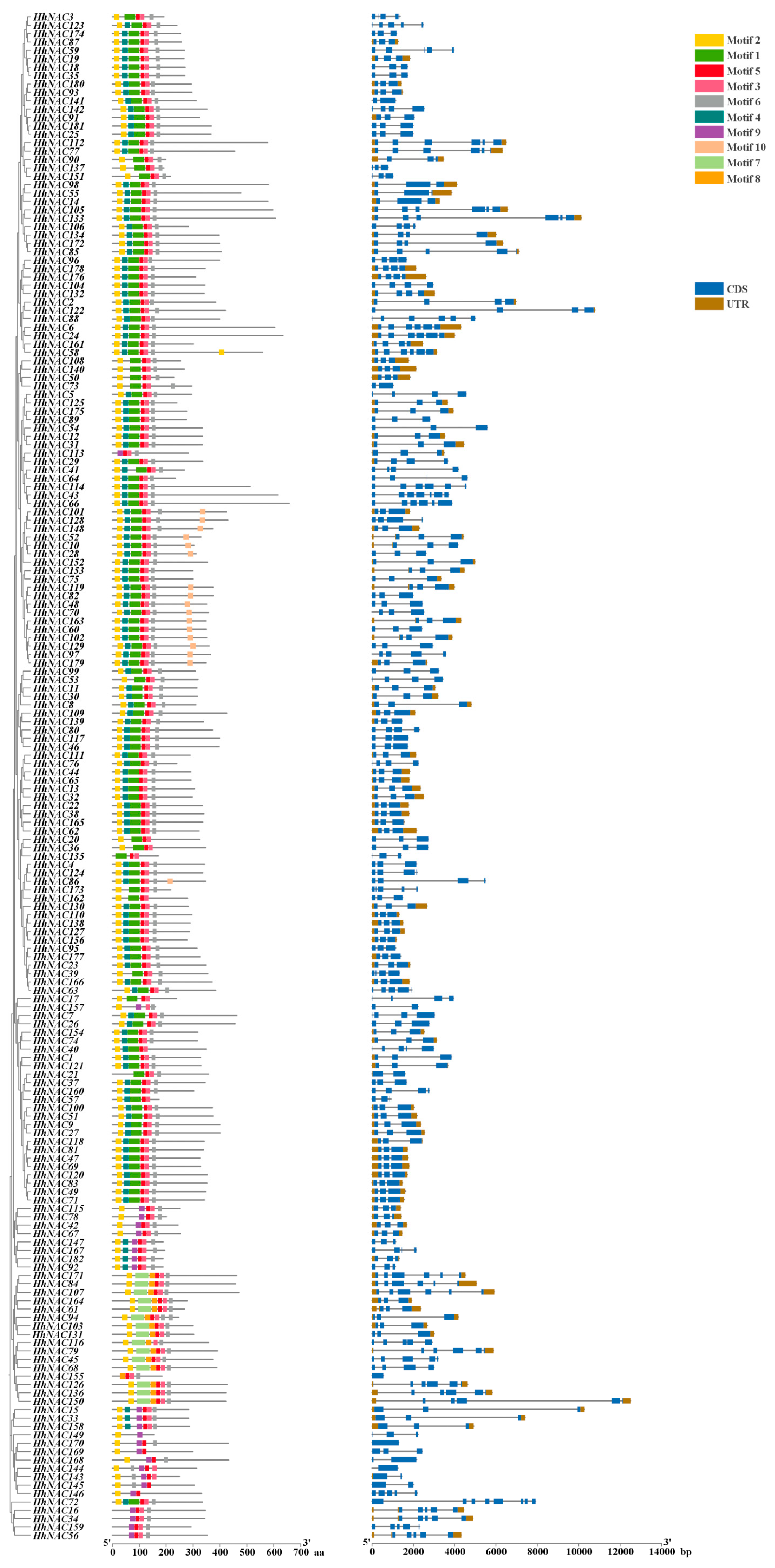 Biomolecules 15 01557 g008 Biomolecules 15 01557 g008