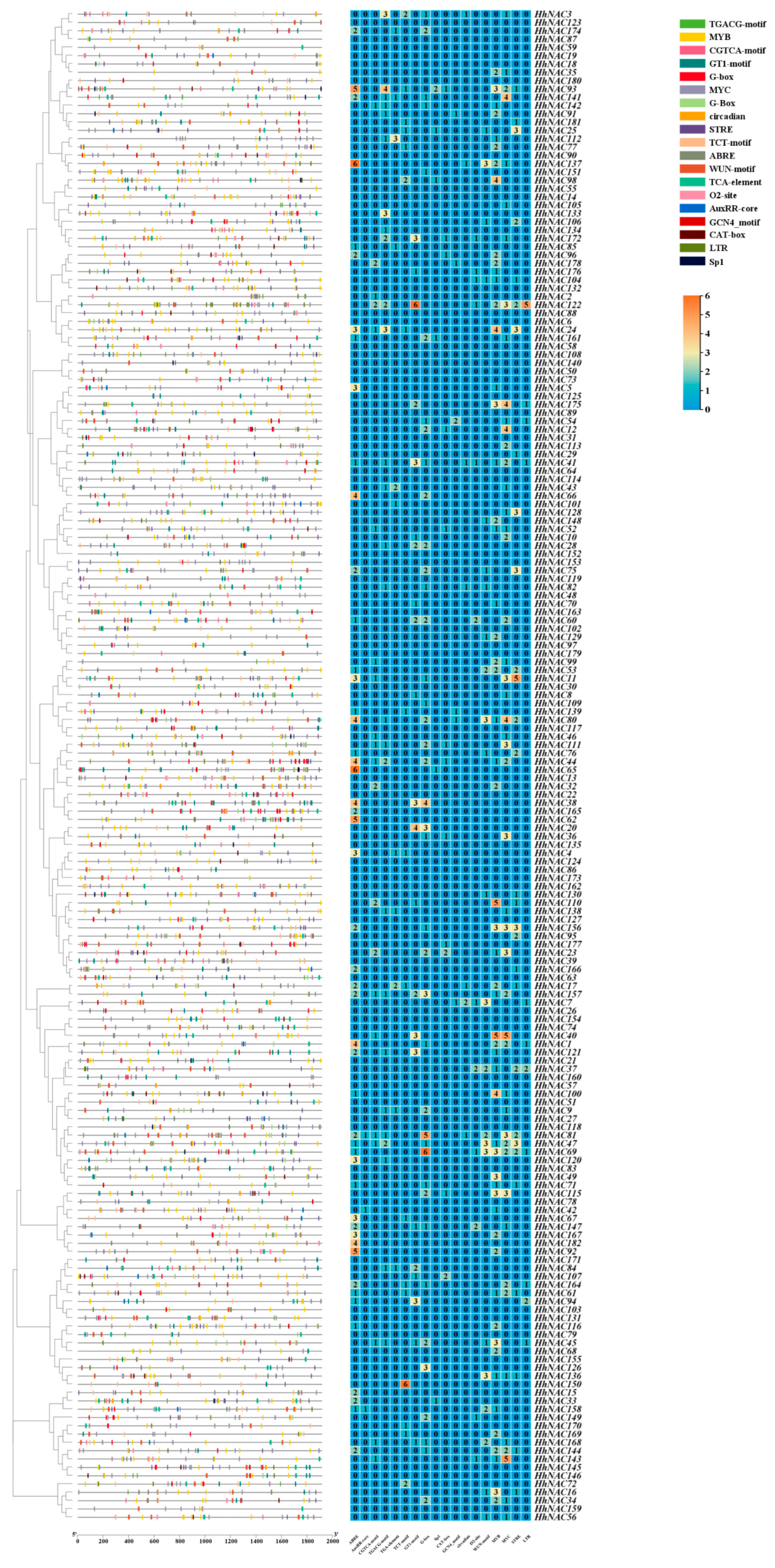 Biomolecules 15 01557 g009 Biomolecules 15 01557 g009