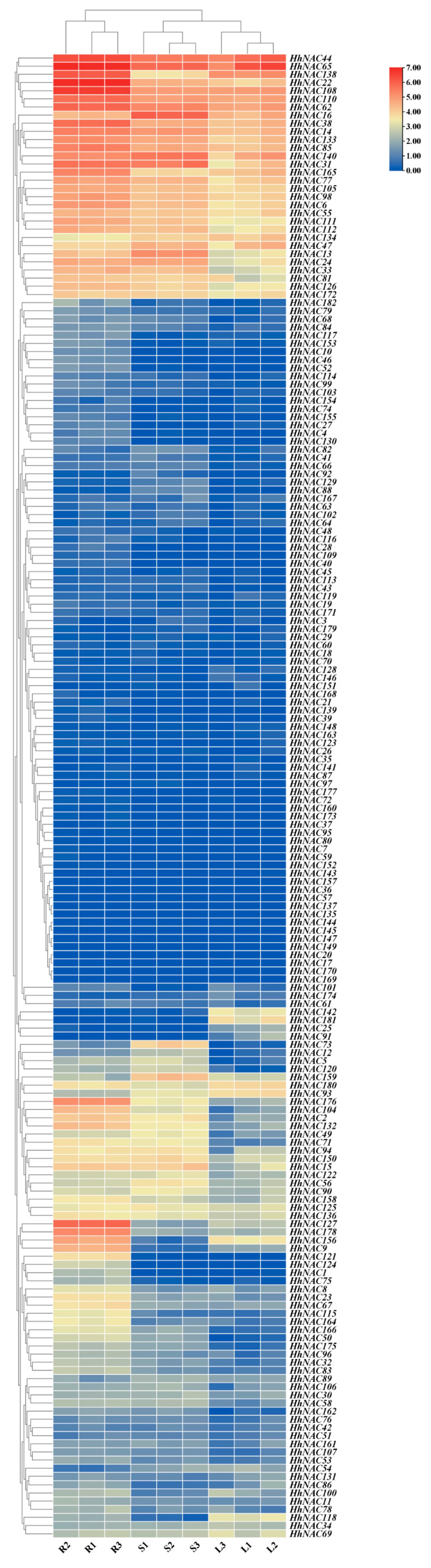 Biomolecules 15 01557 g010 Biomolecules 15 01557 g010