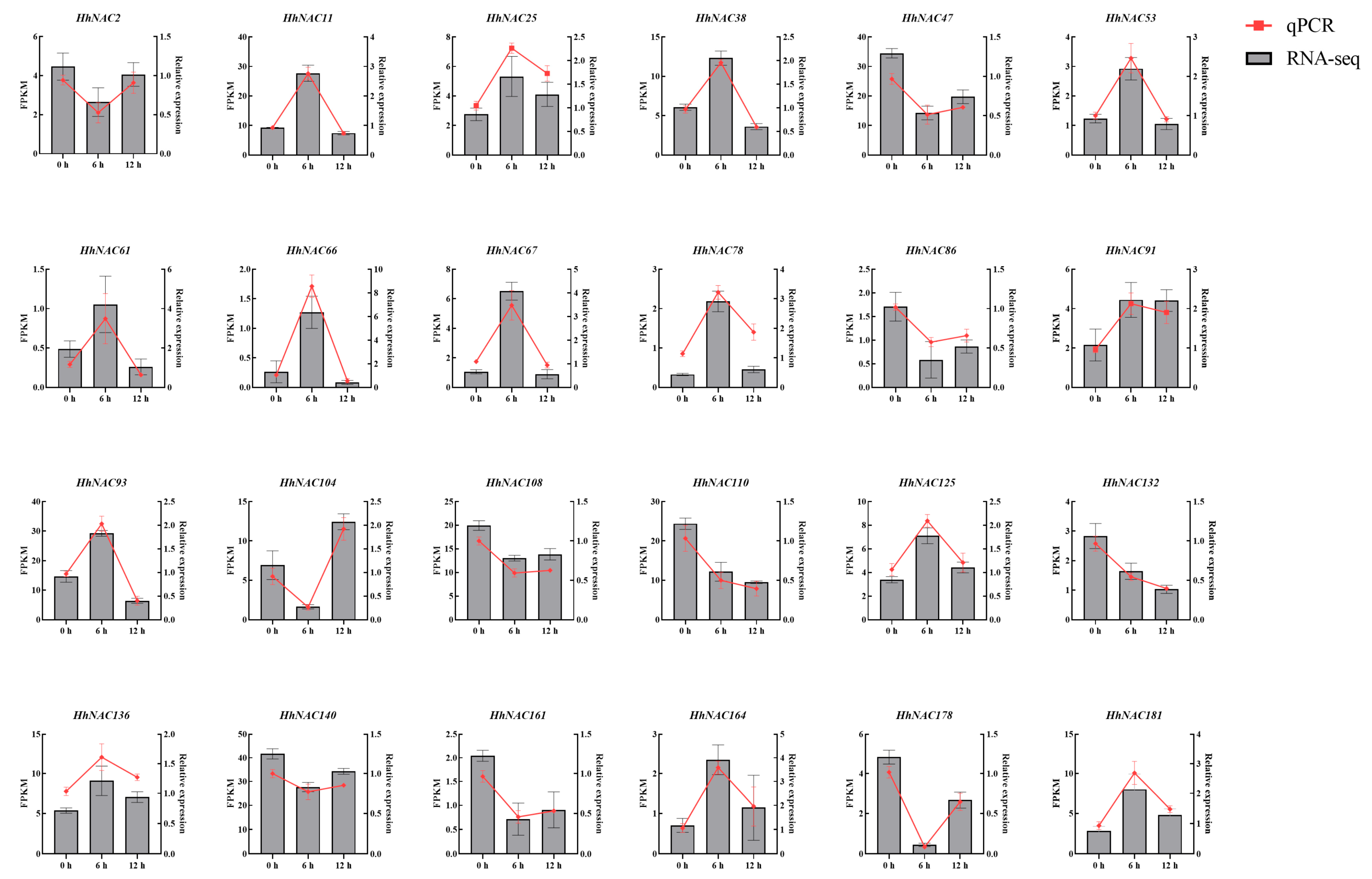 Biomolecules 15 01557 g011 Biomolecules 15 01557 g011