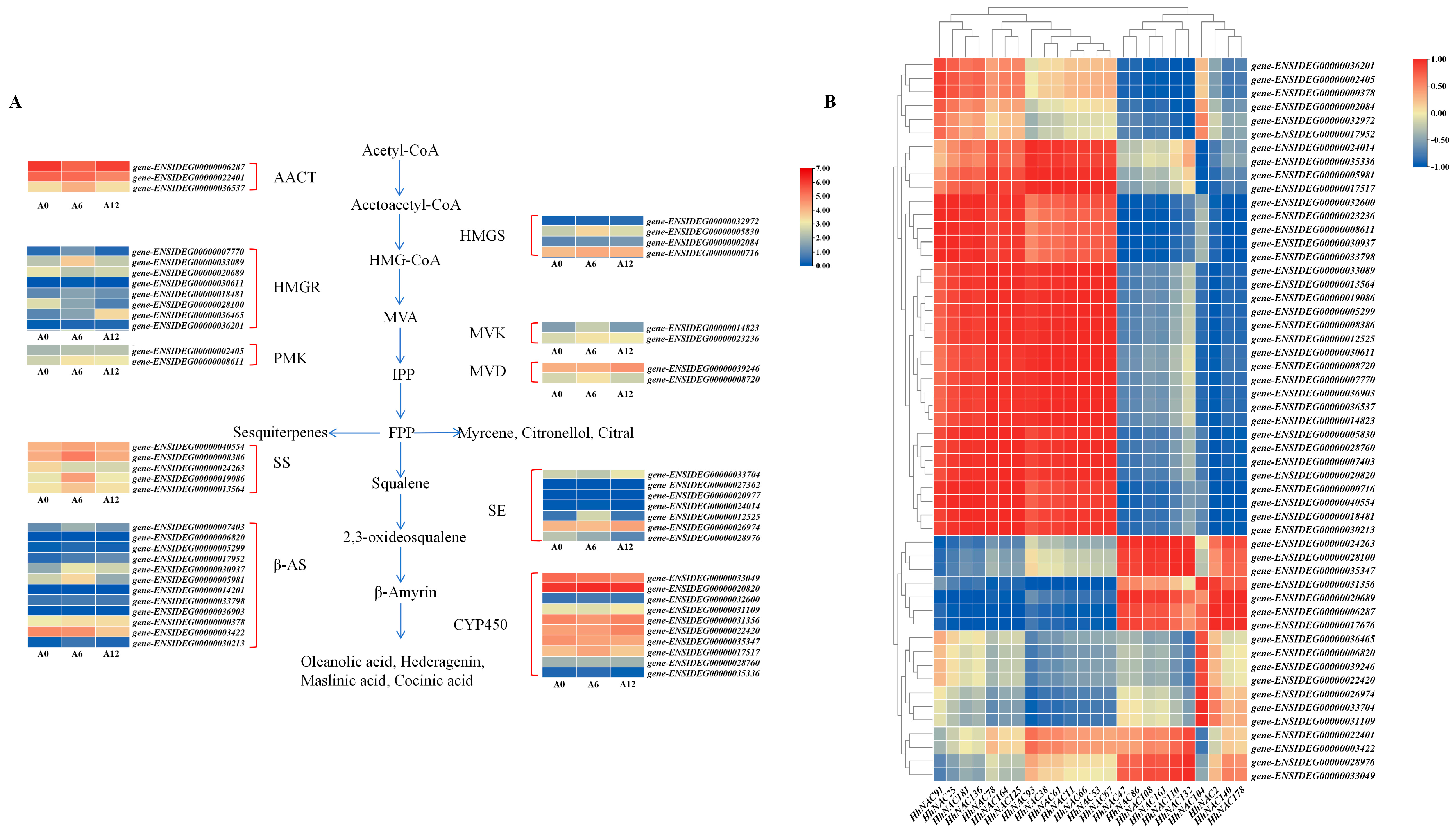 Biomolecules 15 01557 g012 Biomolecules 15 01557 g012