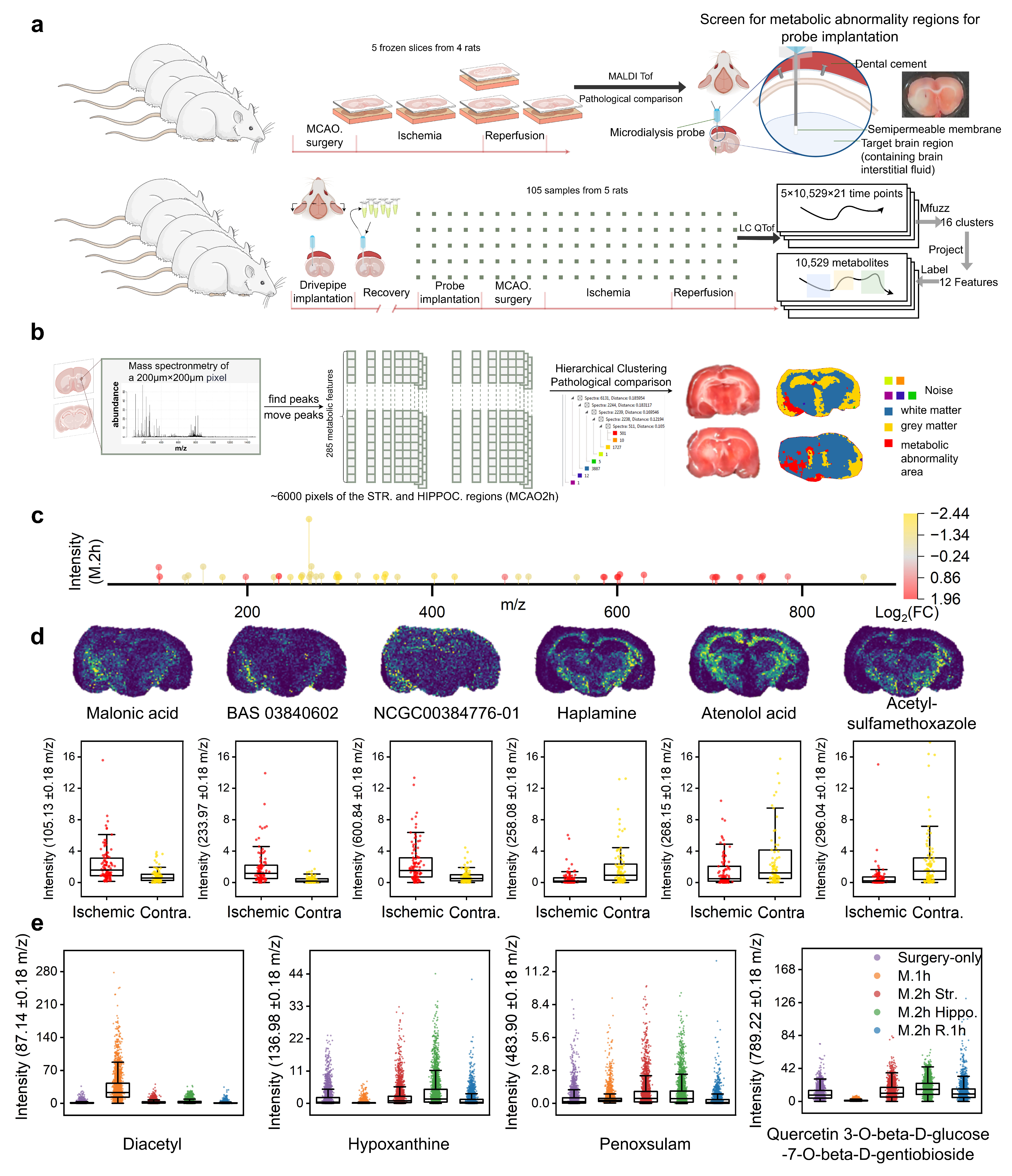 Biomolecules 15 01558 g001 Biomolecules 15 01558 g001