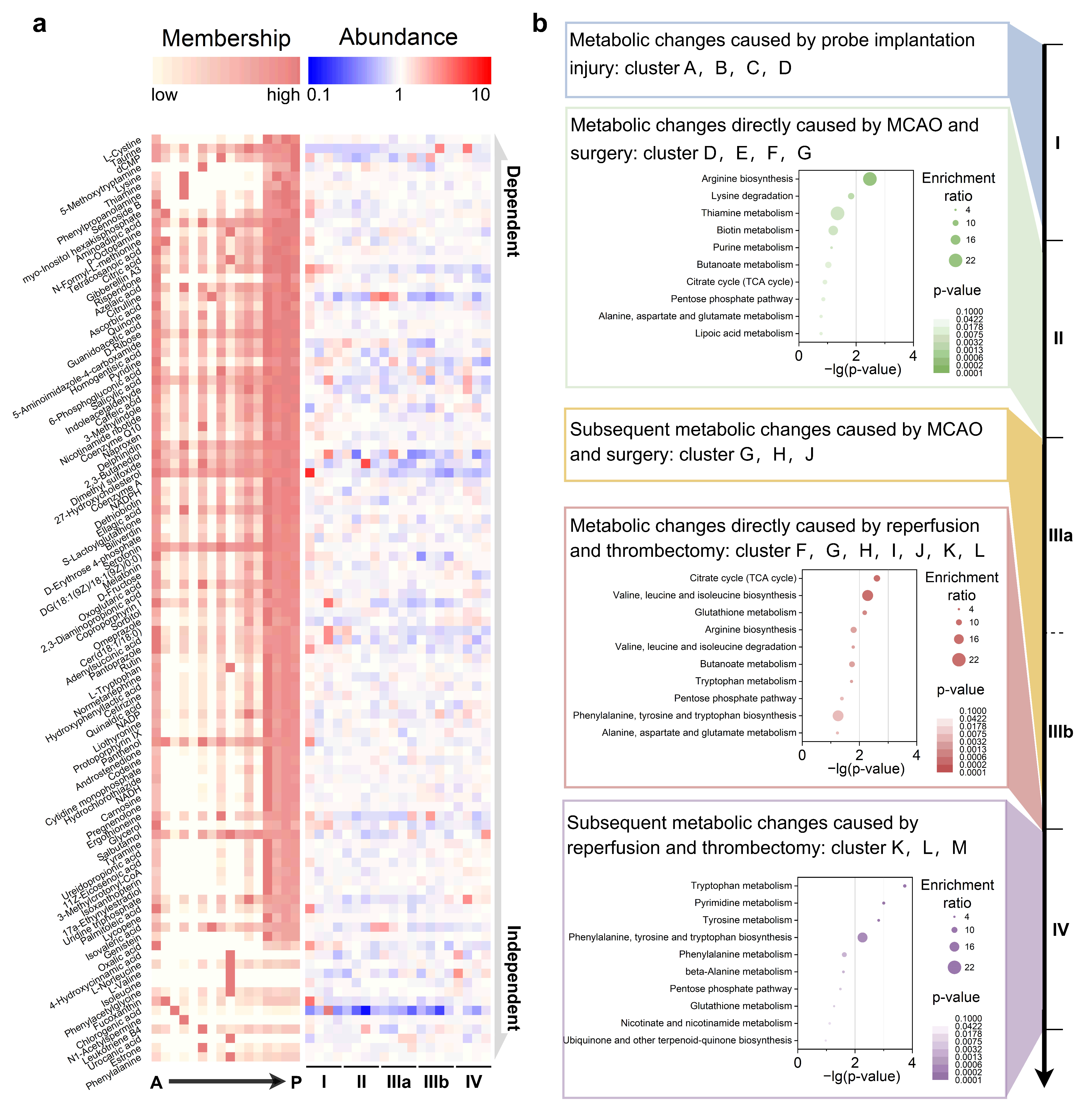 Biomolecules 15 01558 g003 Biomolecules 15 01558 g003