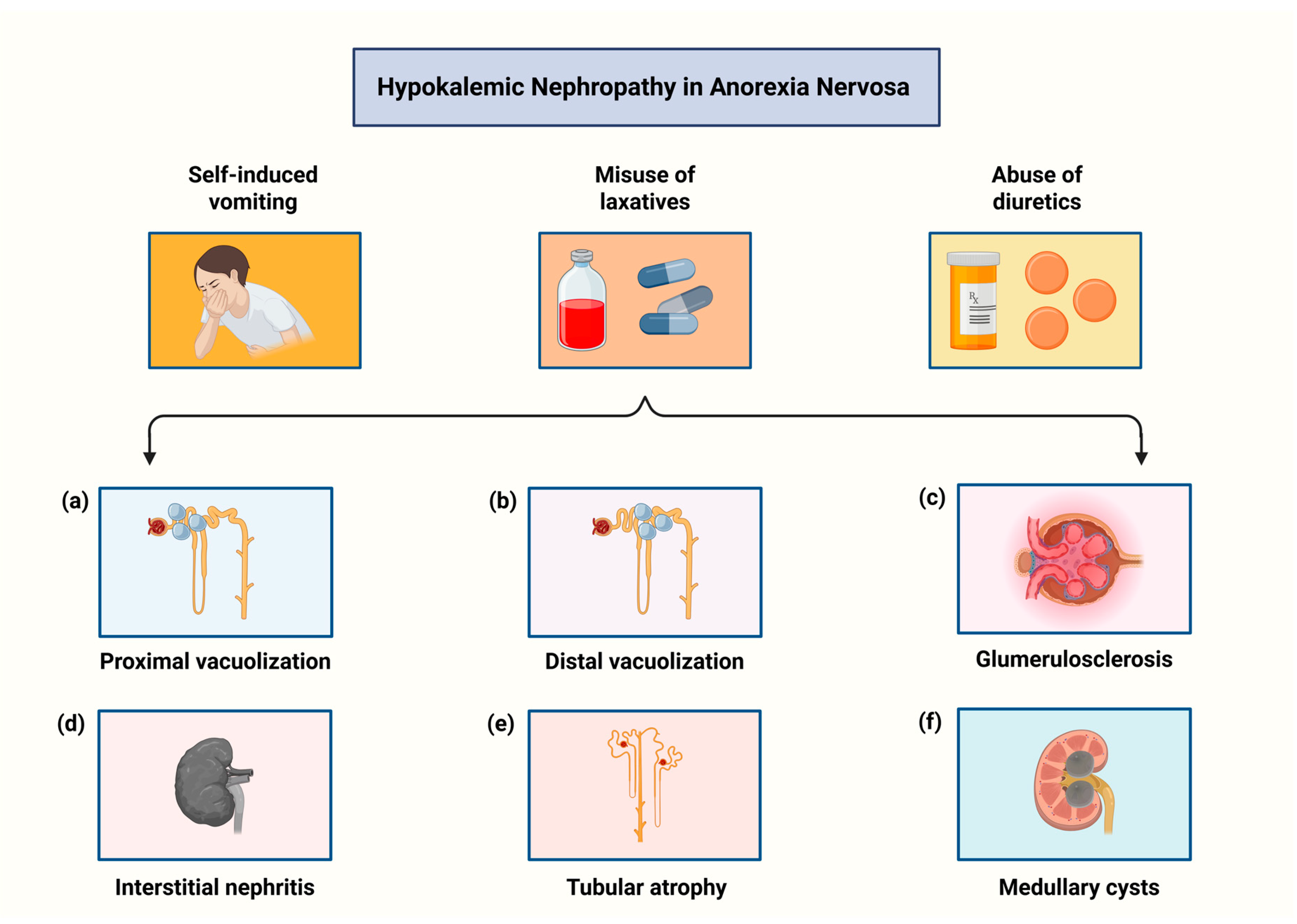 Biomolecules 15 01559 g002 Biomolecules 15 01559 g002
