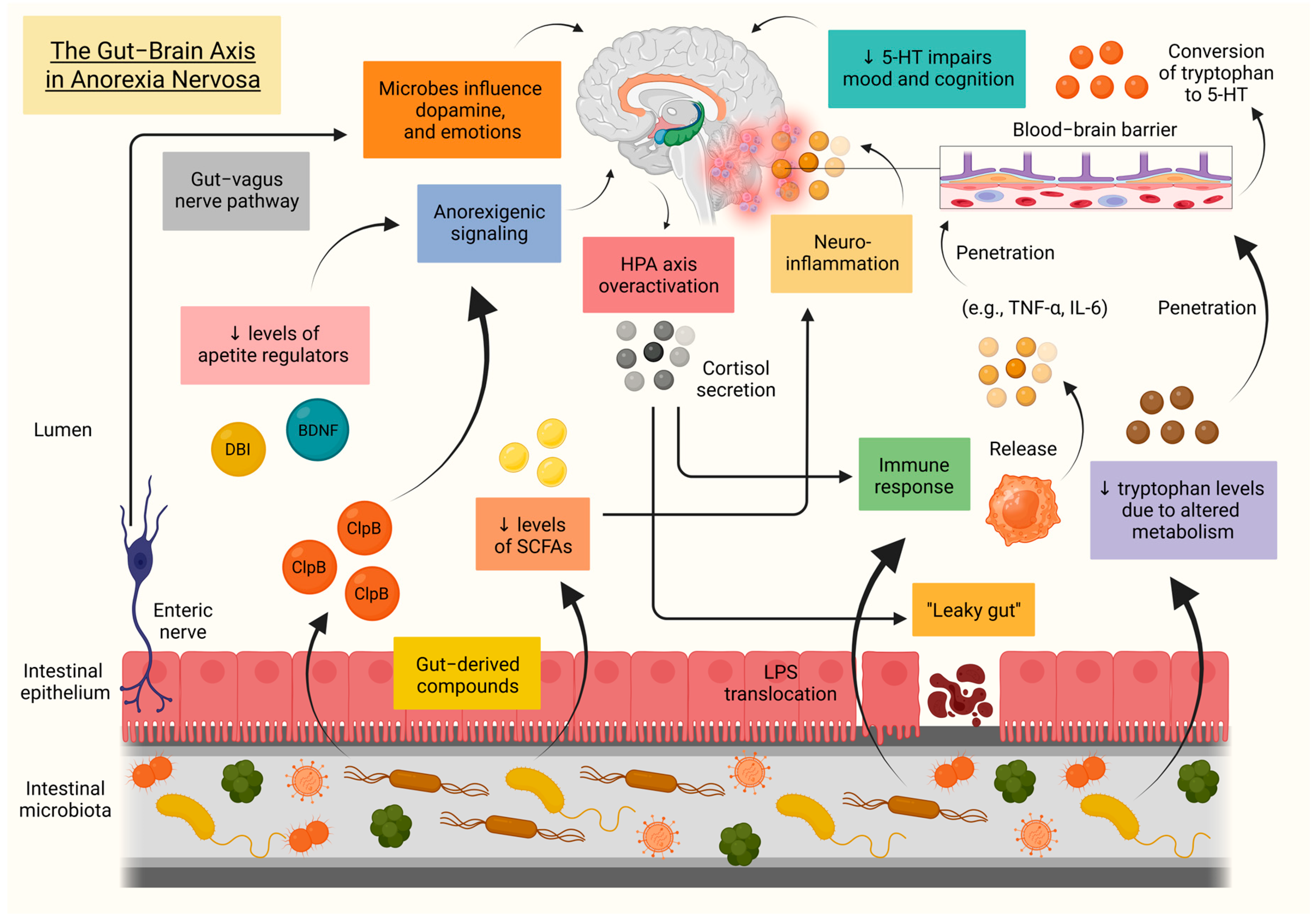 Biomolecules 15 01559 g005 Biomolecules 15 01559 g005