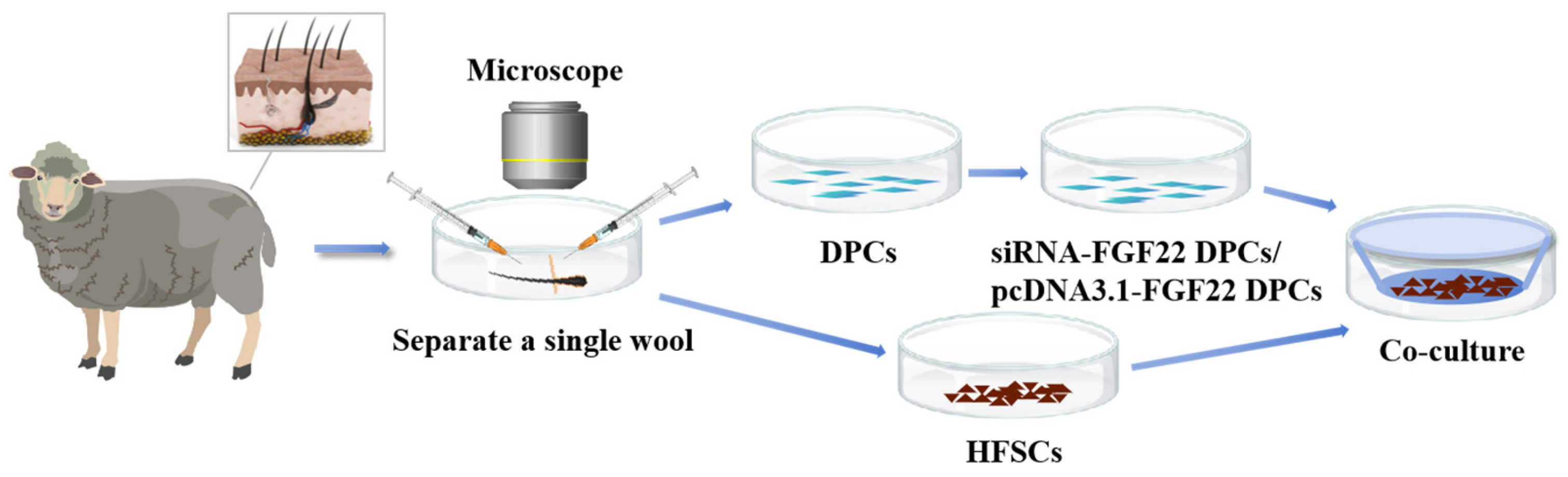 Biomolecules 15 01560 g001 Biomolecules 15 01560 g001
