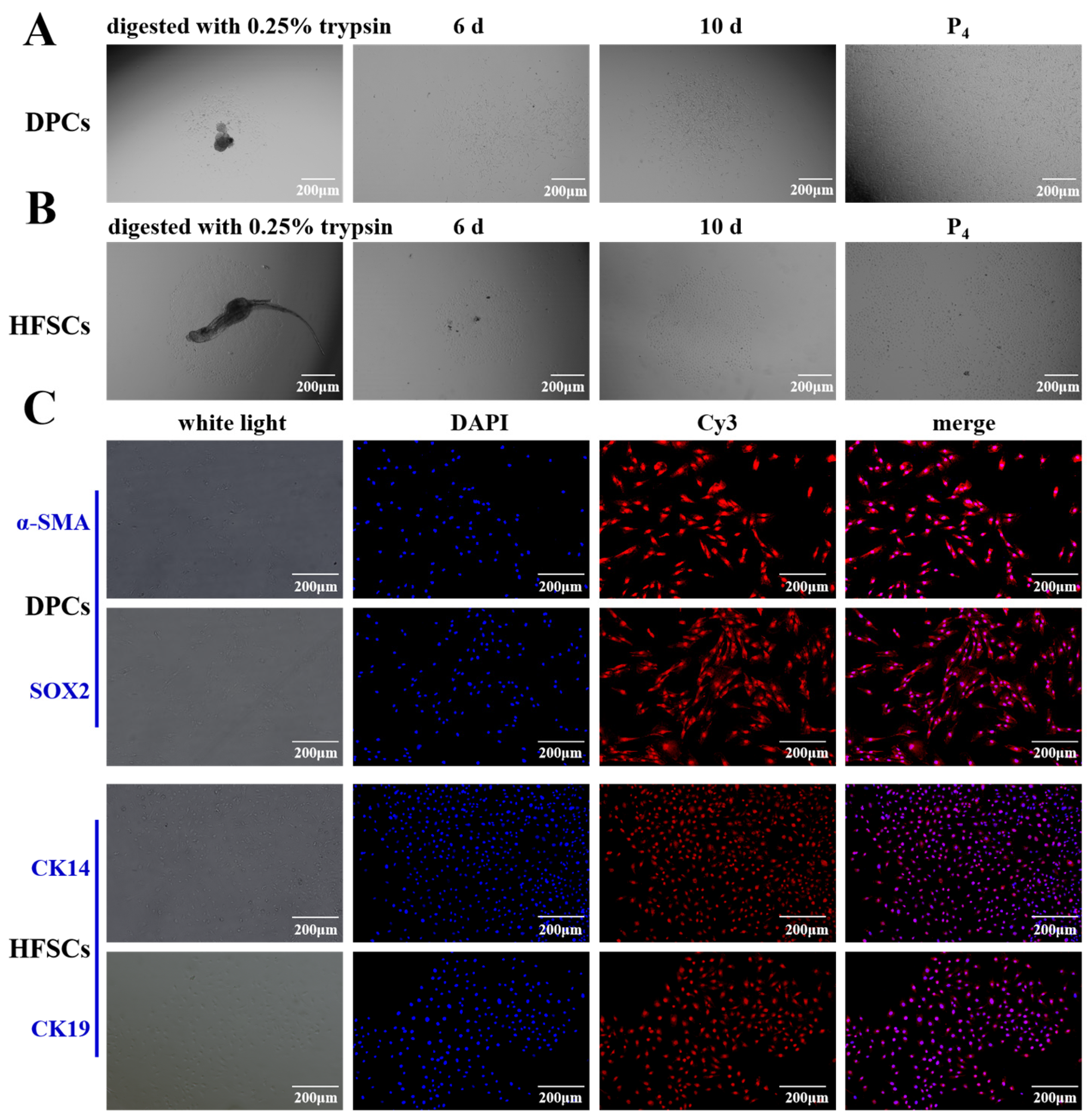 Biomolecules 15 01560 g002 Biomolecules 15 01560 g002