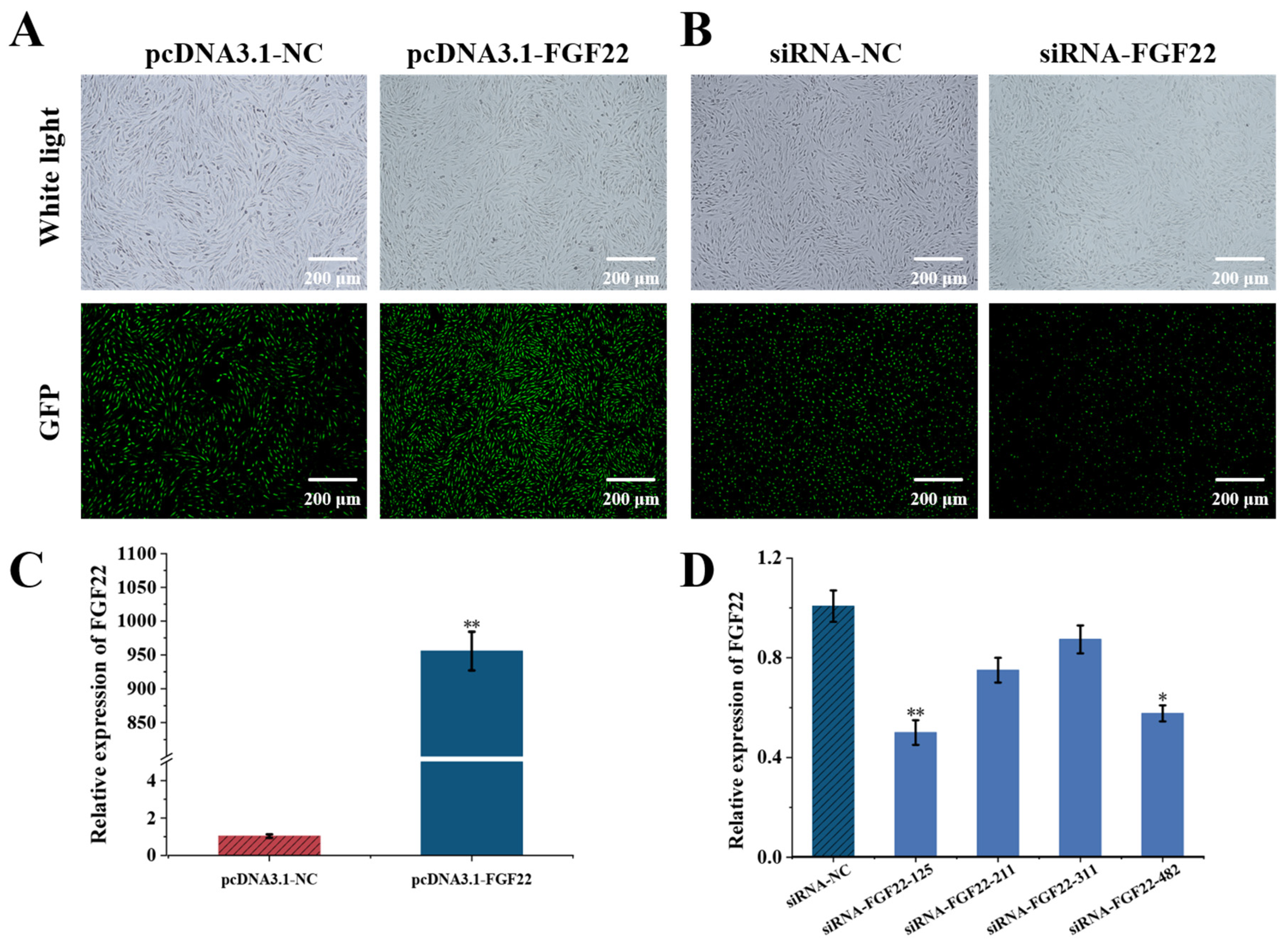 Biomolecules 15 01560 g003 Biomolecules 15 01560 g003