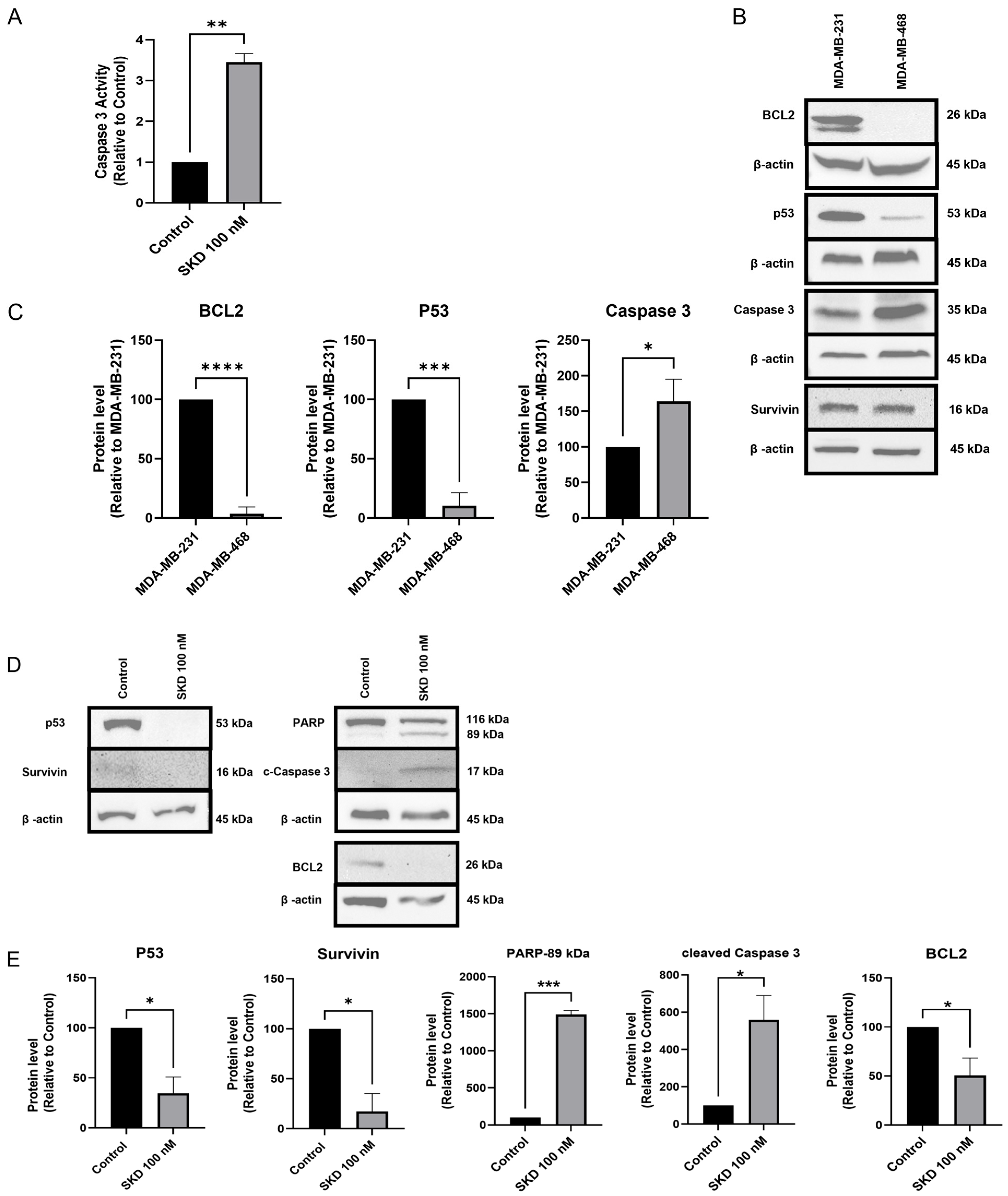 Biomolecules 15 01561 g002 Biomolecules 15 01561 g002