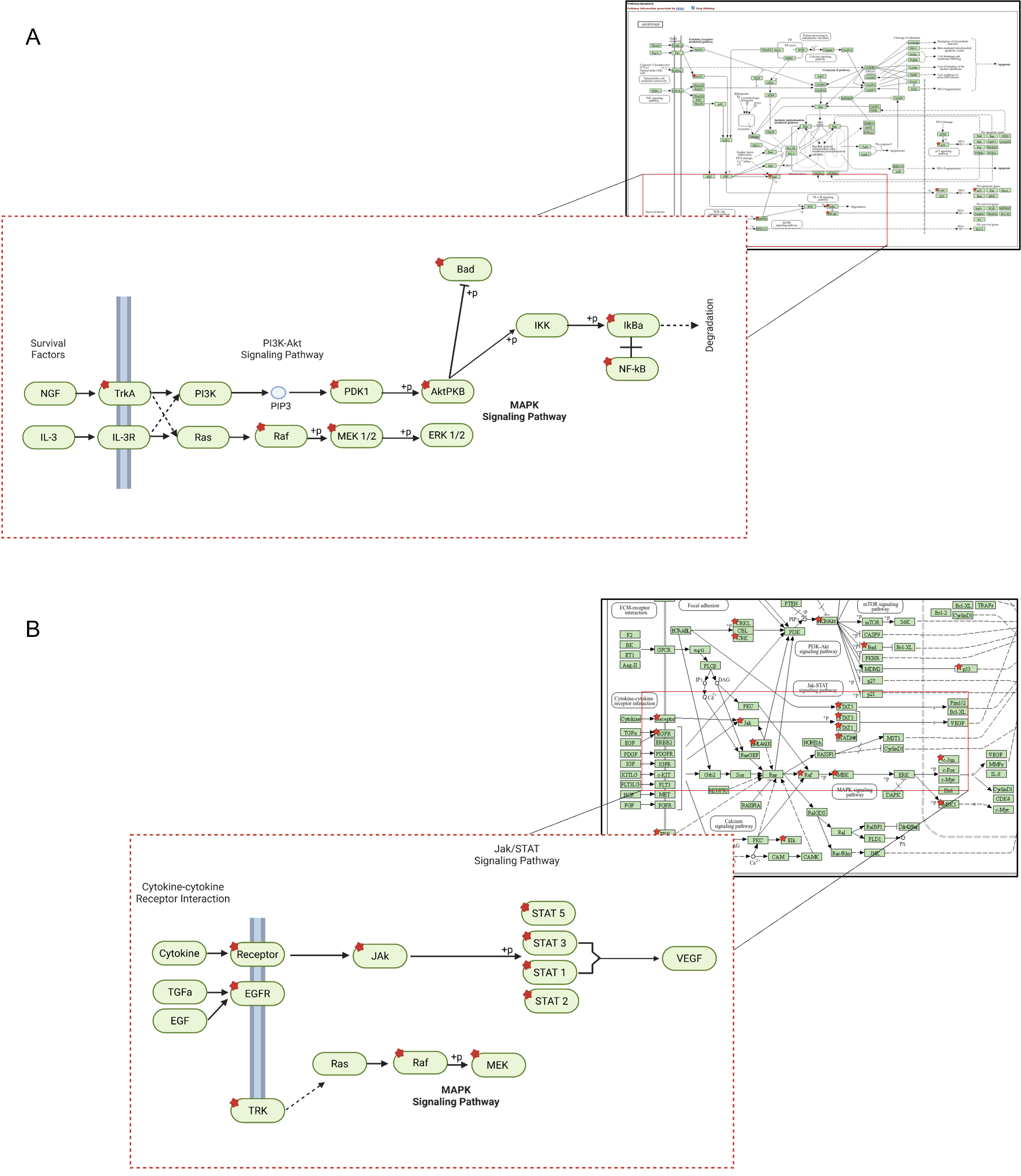 Biomolecules 15 01561 g003 Biomolecules 15 01561 g003