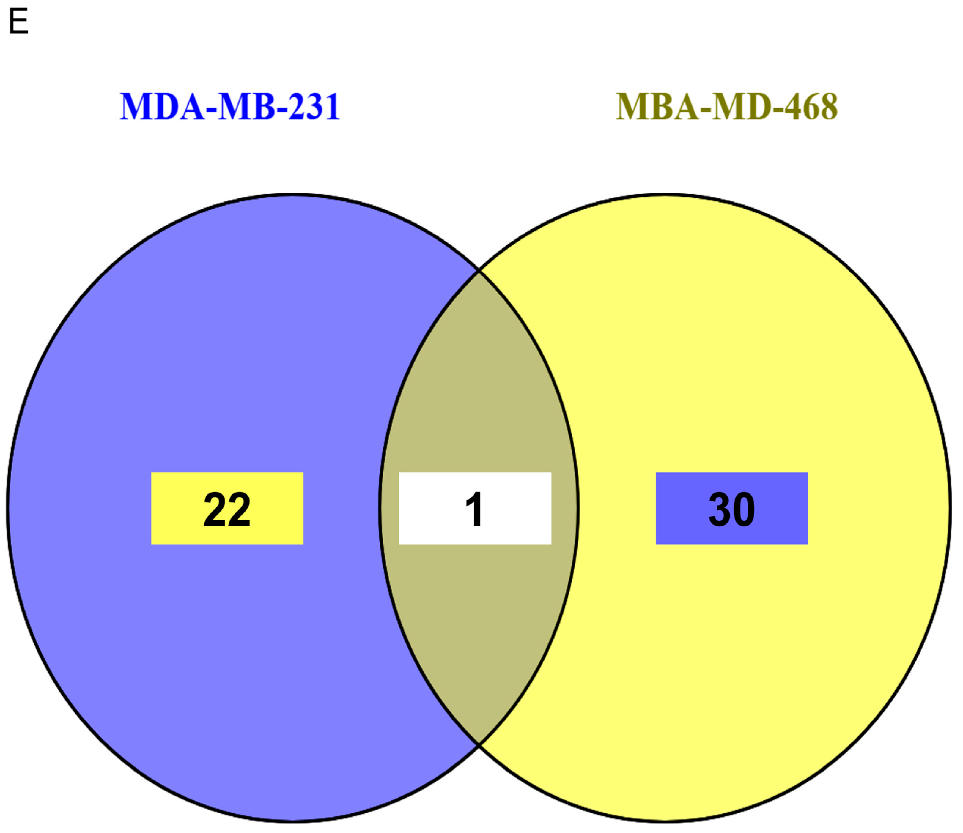 Biomolecules 15 01561 g005c Biomolecules 15 01561 g005c