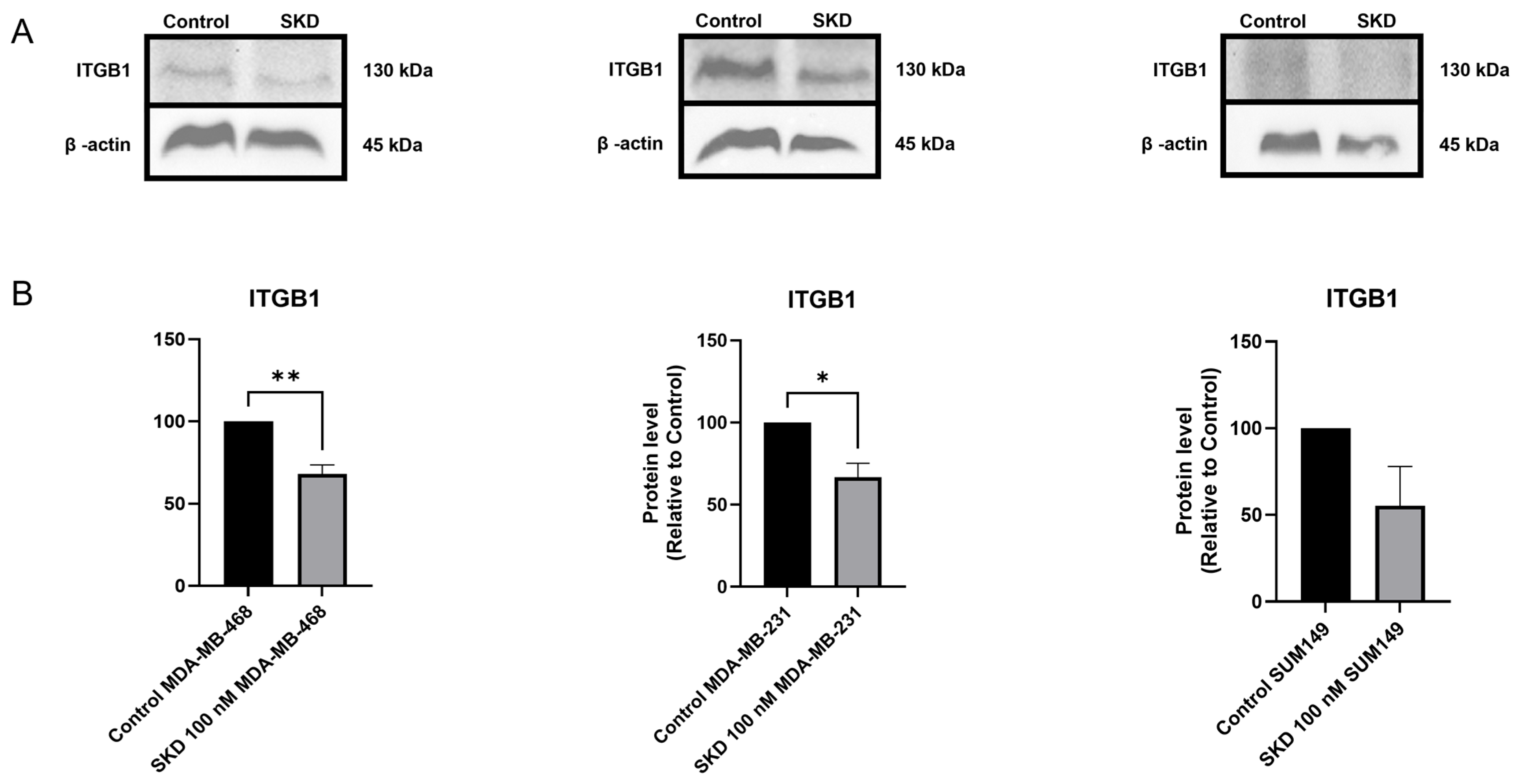Biomolecules 15 01561 g006 Biomolecules 15 01561 g006