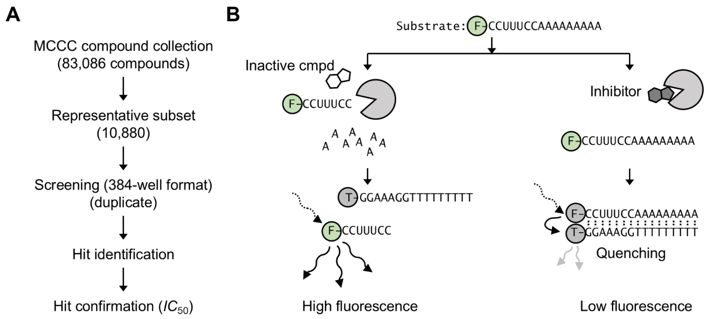 Biomolecules 15 01563 g001
