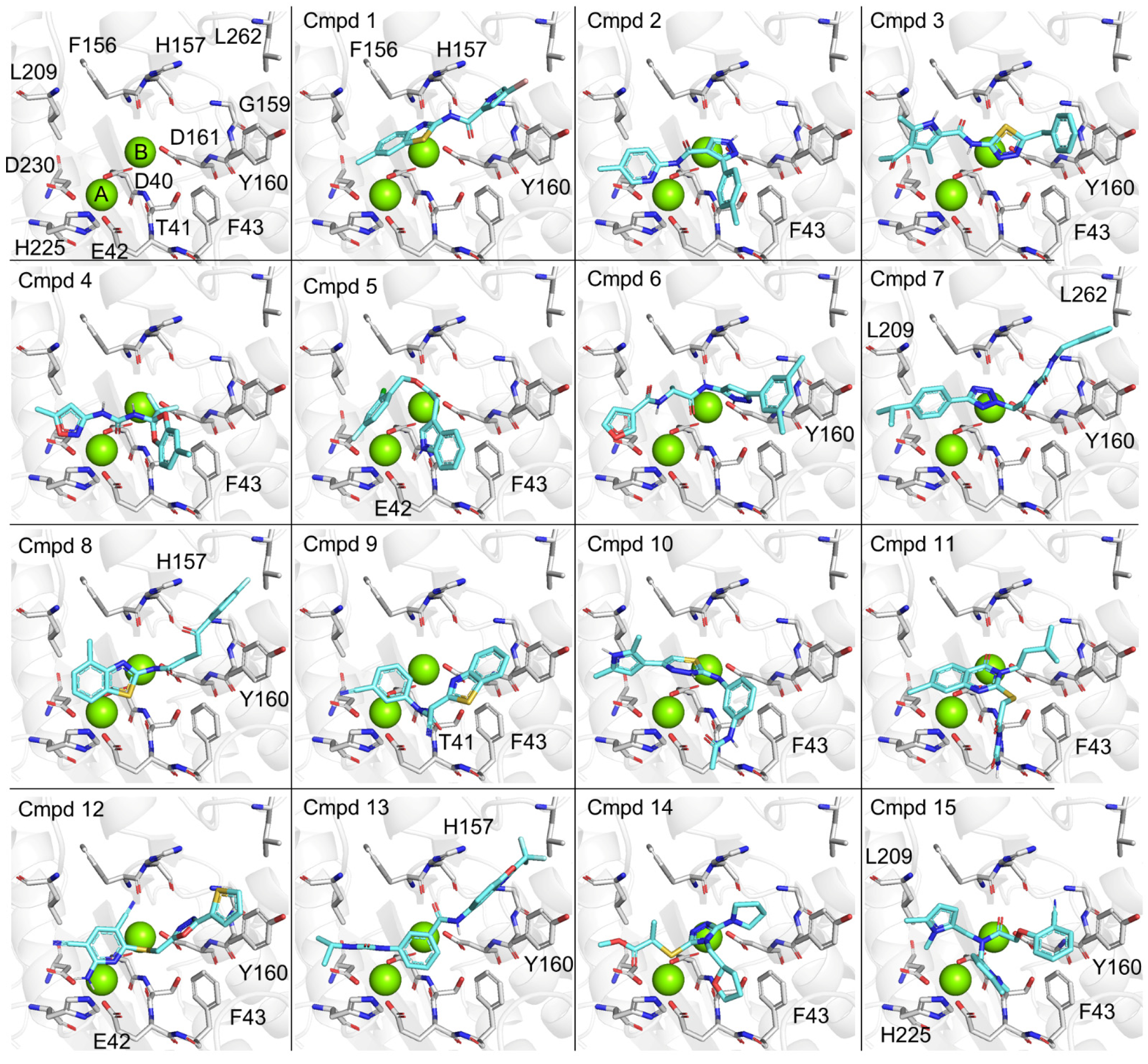 Biomolecules 15 01563 g005
