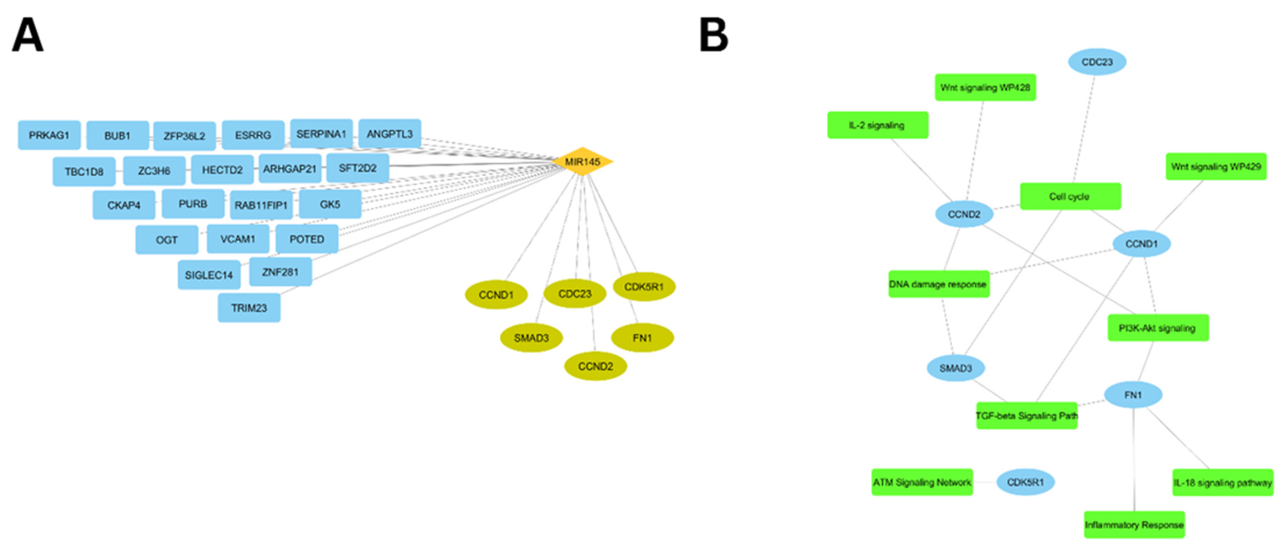 Biomolecules 15 01564 g003 Biomolecules 15 01564 g003
