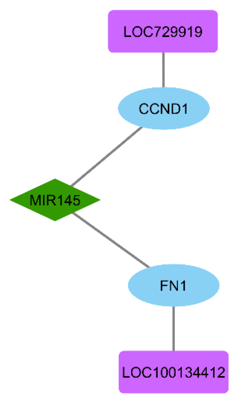 Biomolecules 15 01564 g004 Biomolecules 15 01564 g004